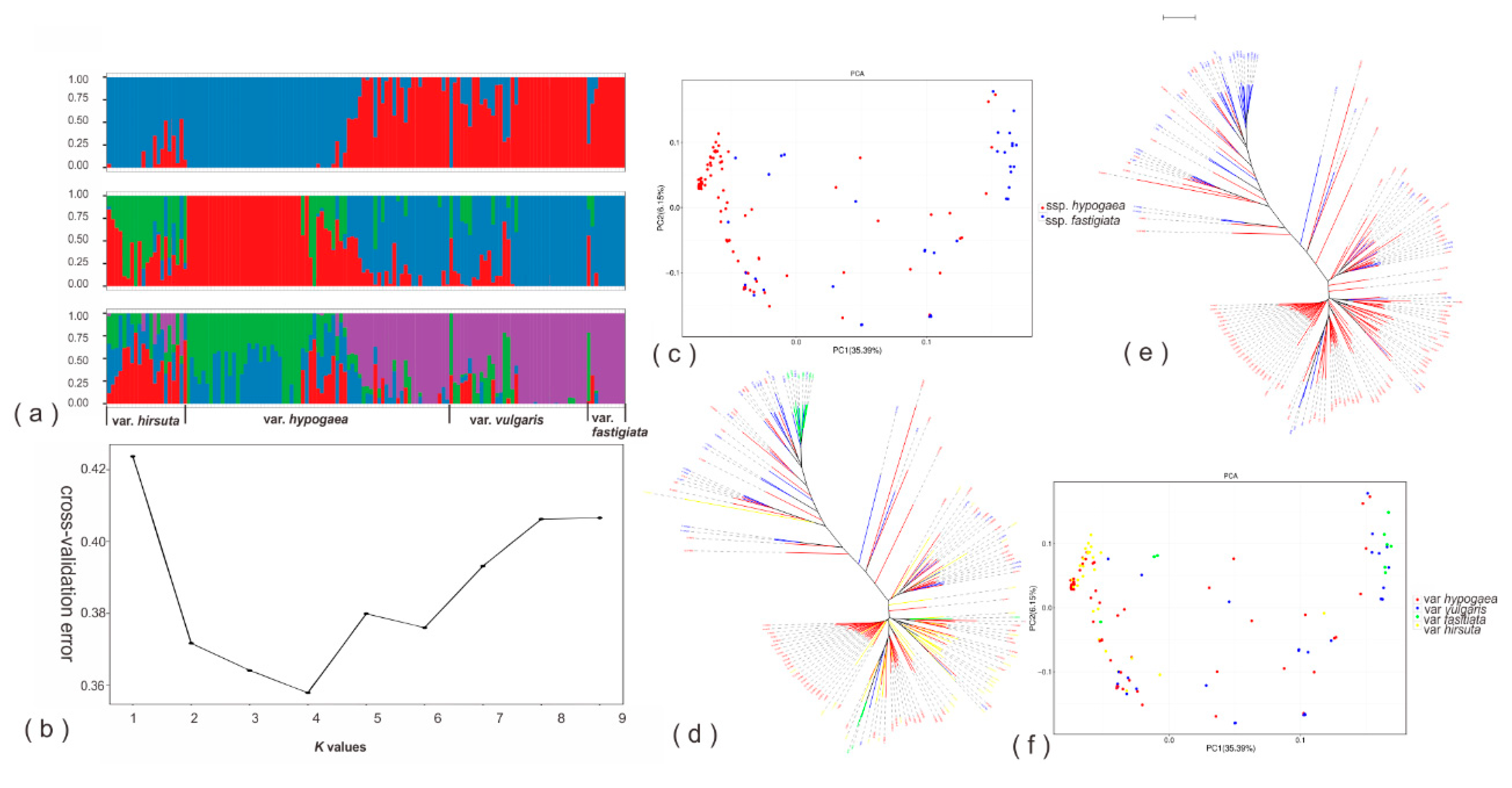 Genes 10 00803 g002 Genes 10 00803 g002