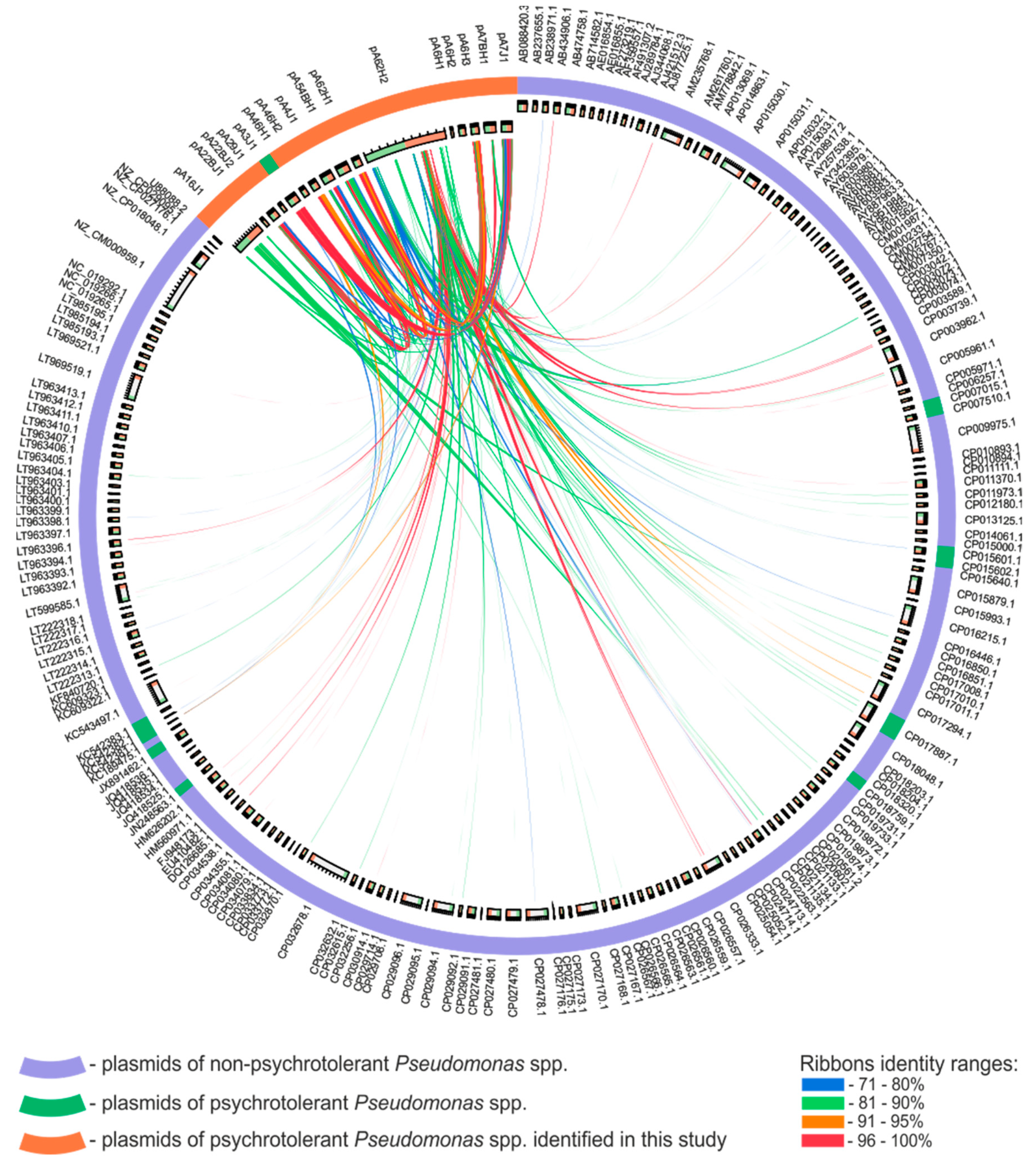 Genes | Free Full-Text | Diversity and Horizontal Transfer of Antarctic  Pseudomonas spp. Plasmids | HTML