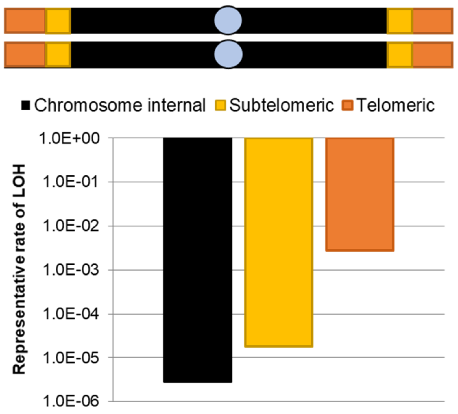 Genes 10 00866 g003 Genes 10 00866 g003