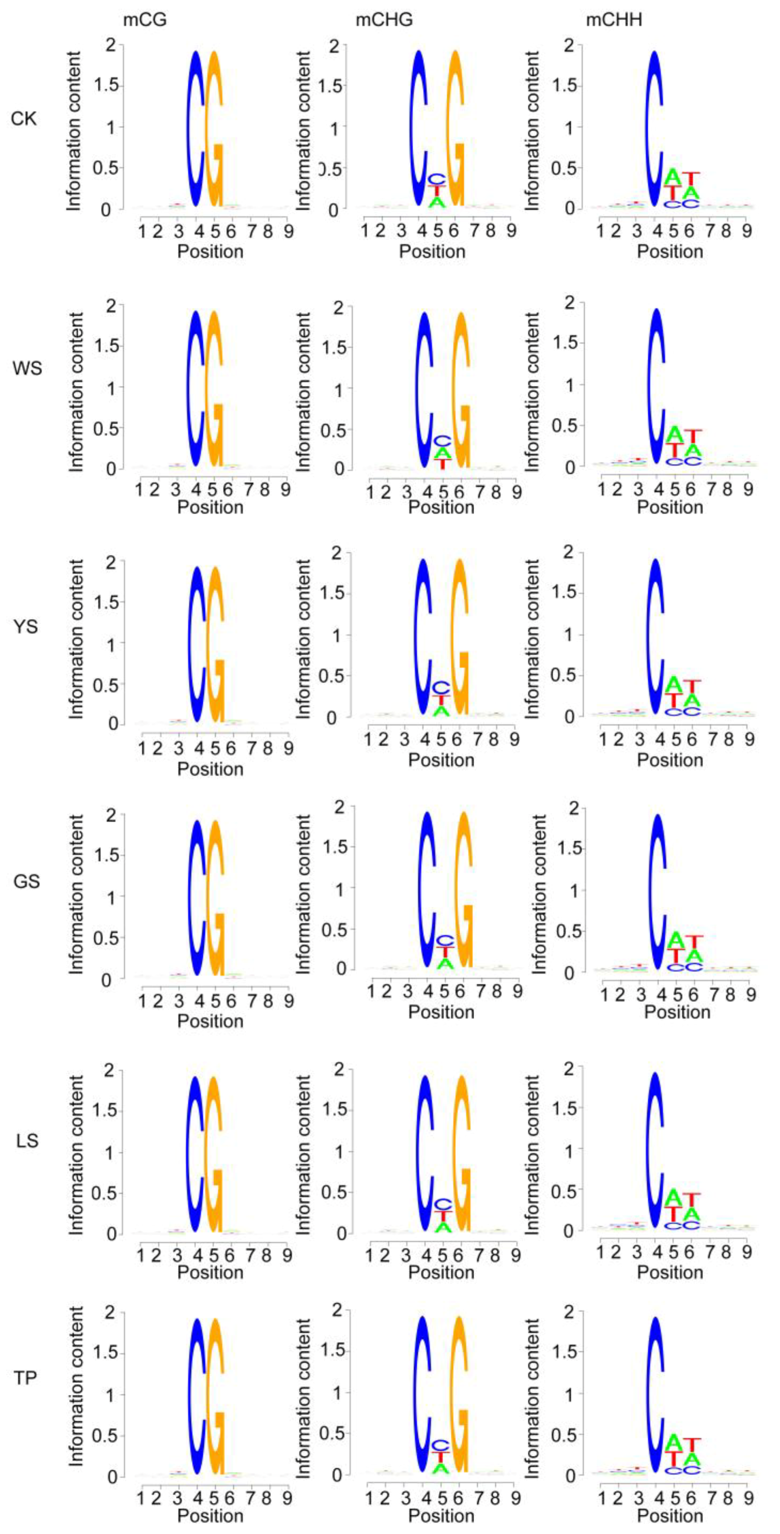 Genes 10 00877 g004 Genes 10 00877 g004