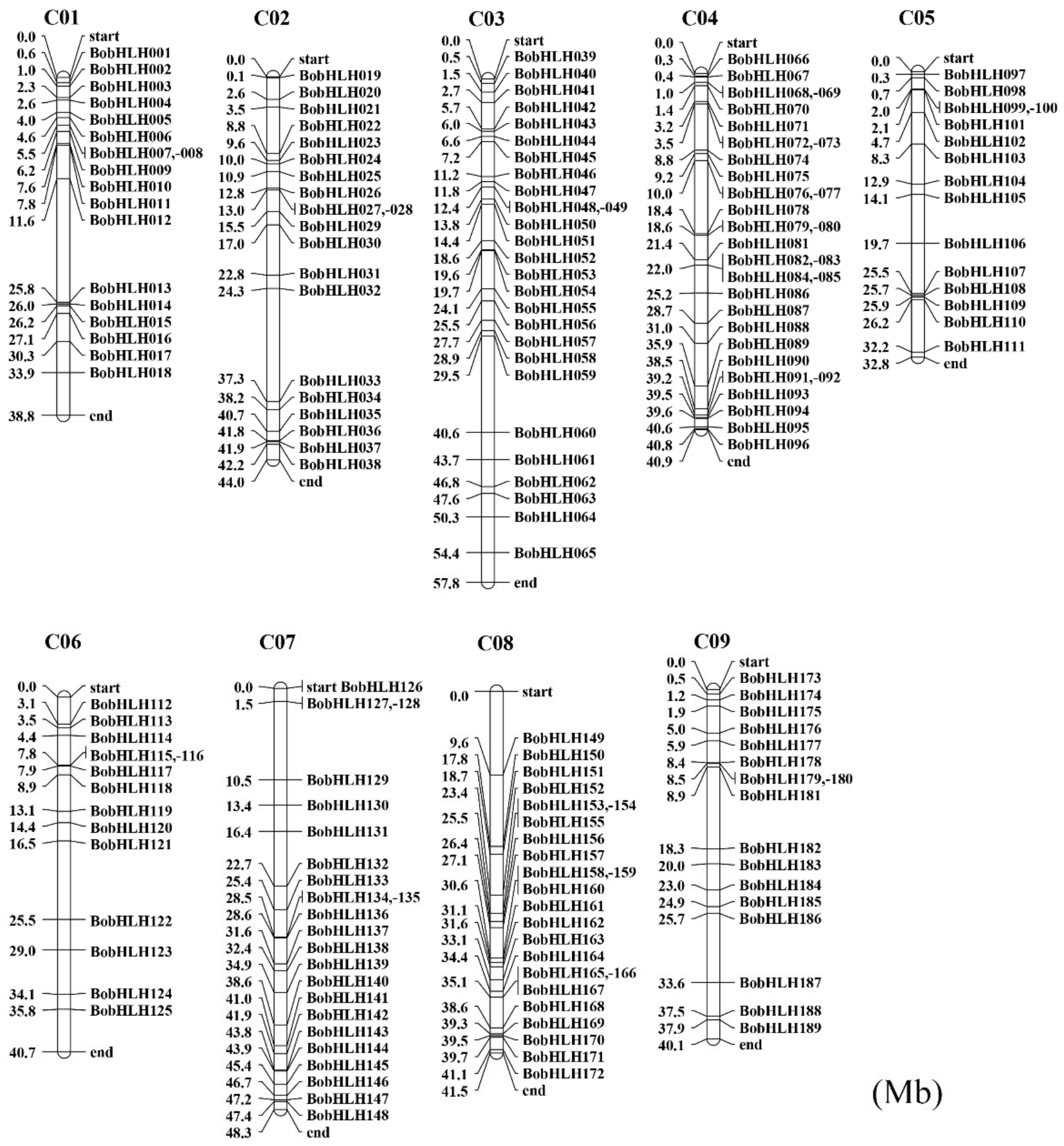 Genes 10 00914 g002