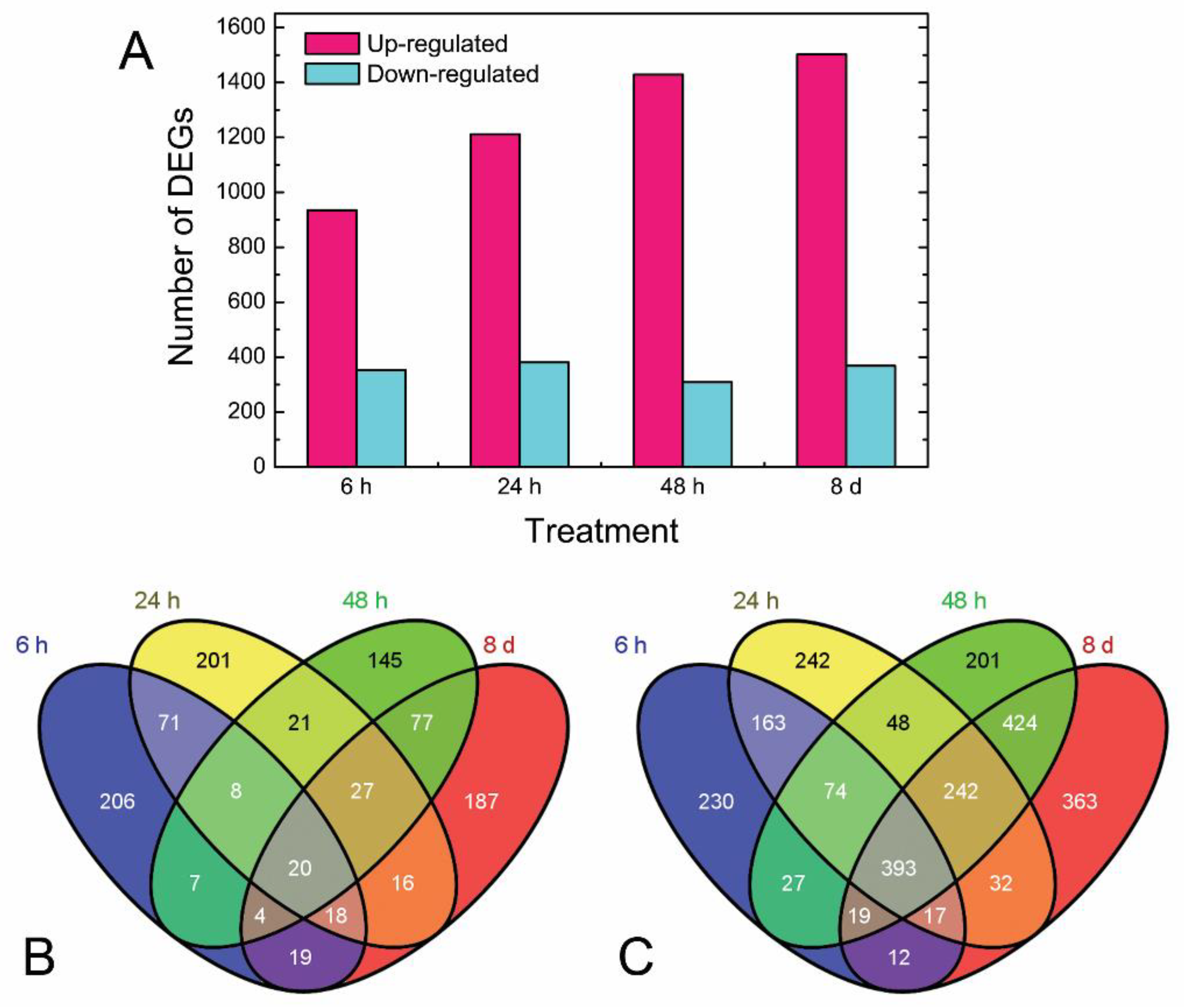 Genes 10 00920 g002