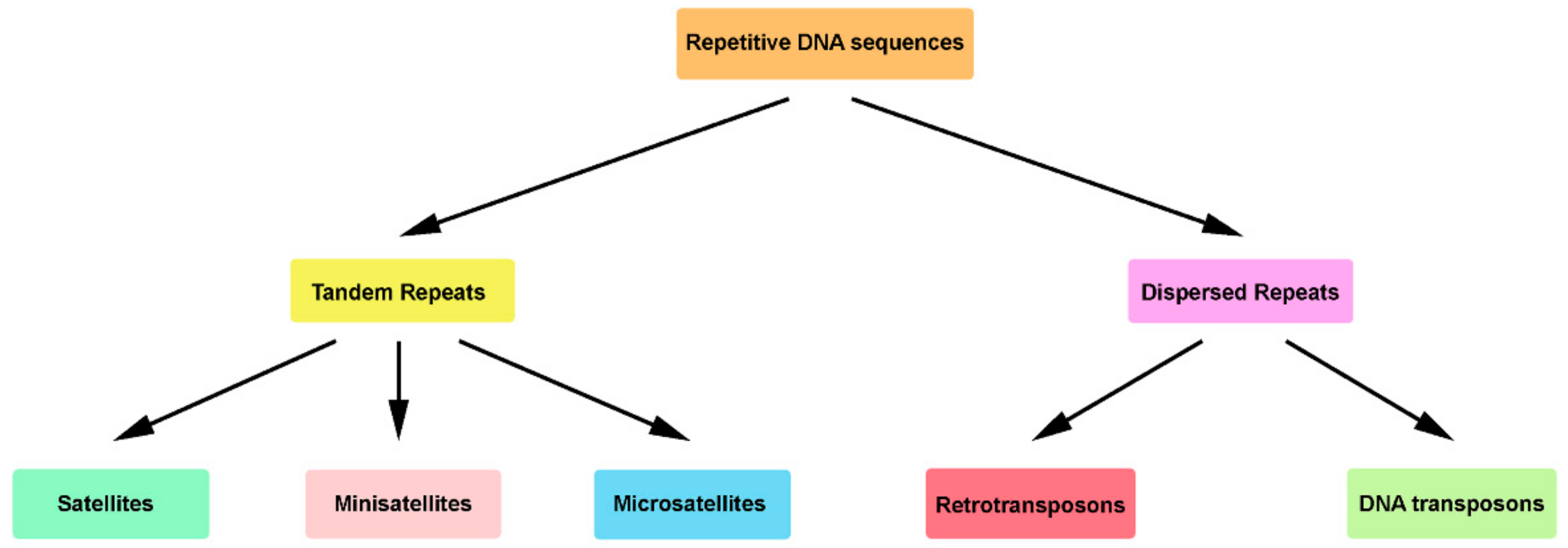 Genes | Free Full-Text | Conversion of DNA Sequences: From a Transposable  Element to a Tandem Repeat or to a Gene