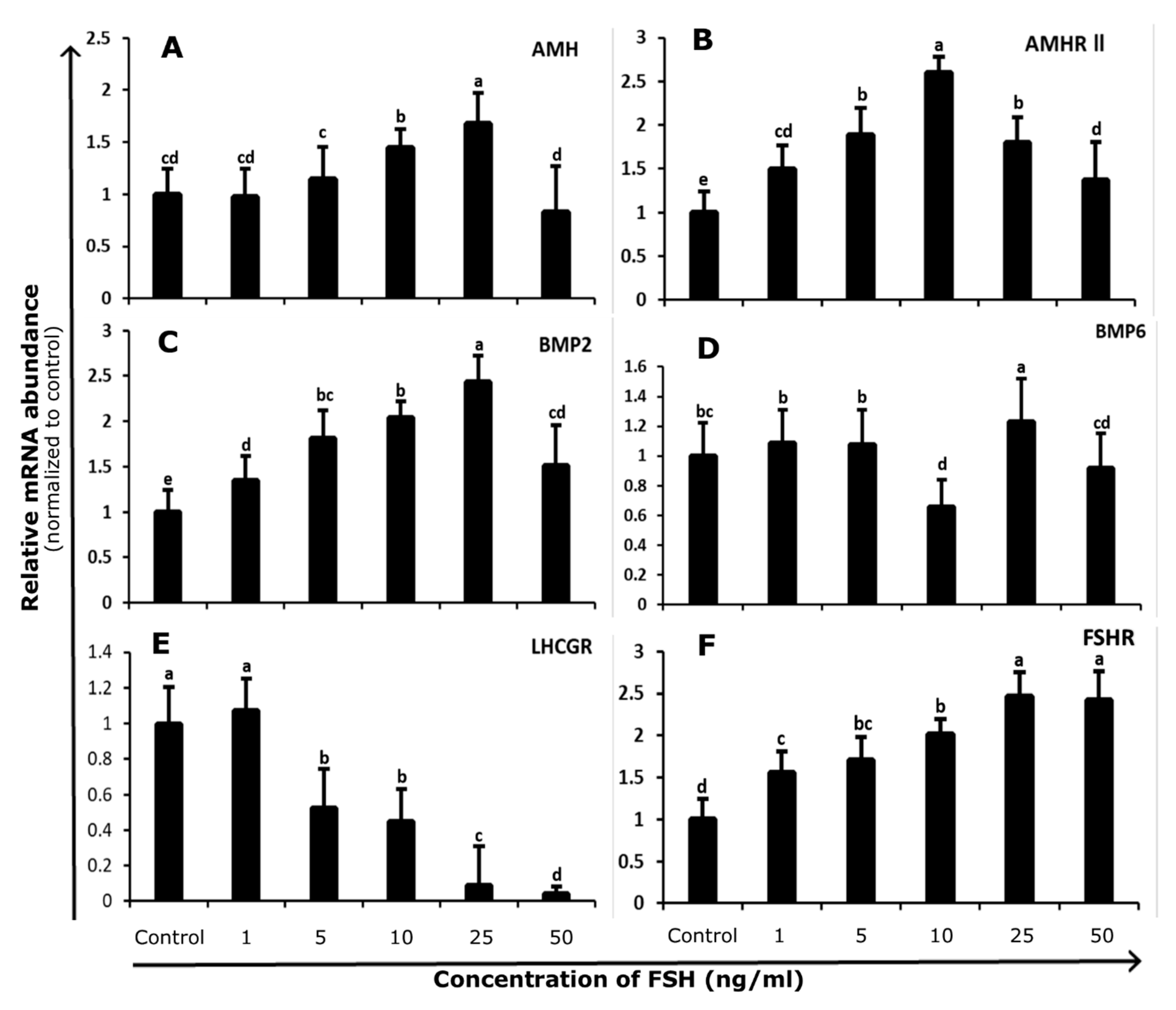 Genes 10 01038 g002