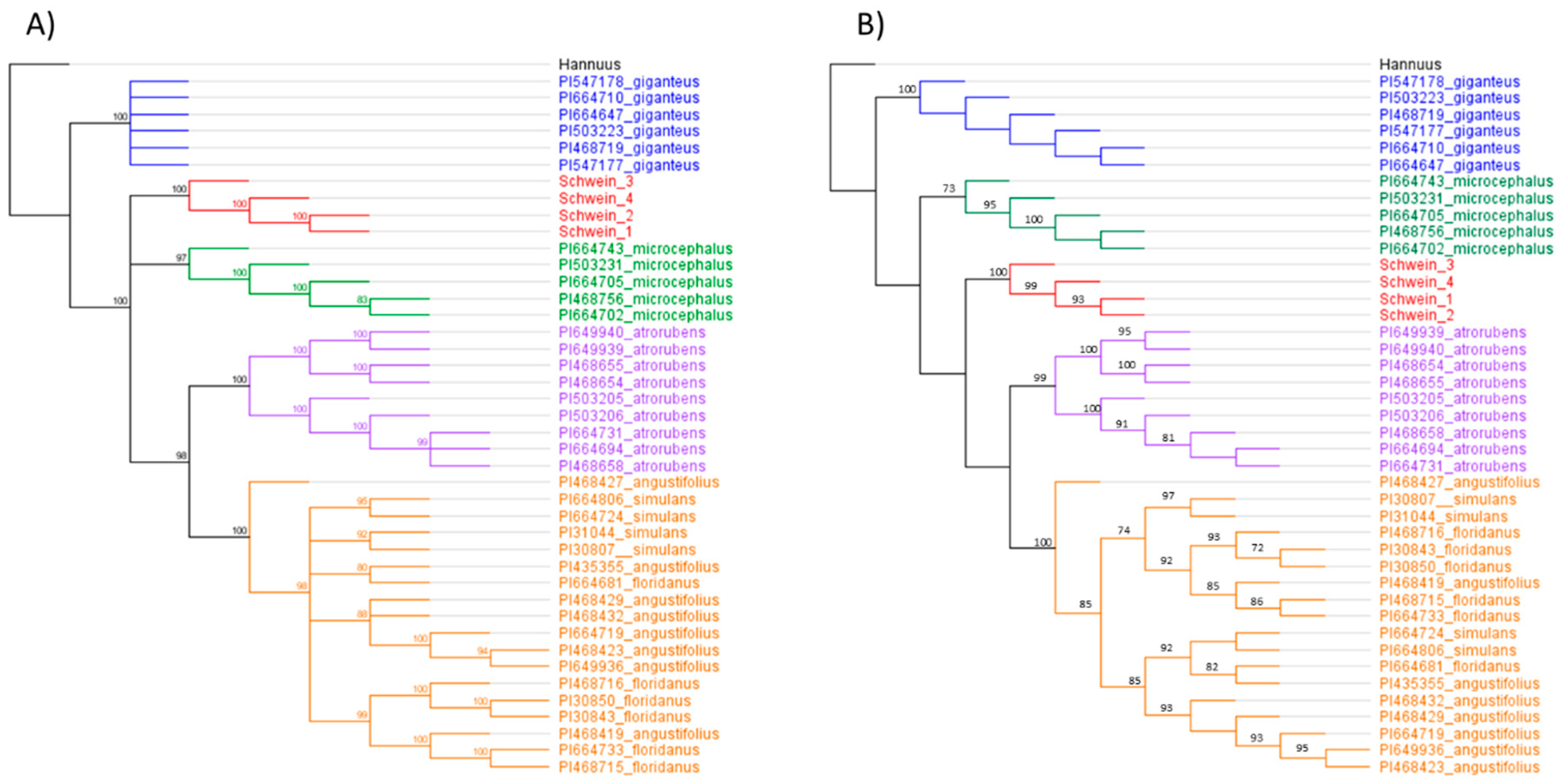 Genes 10 01040 g004 Genes 10 01040 g004