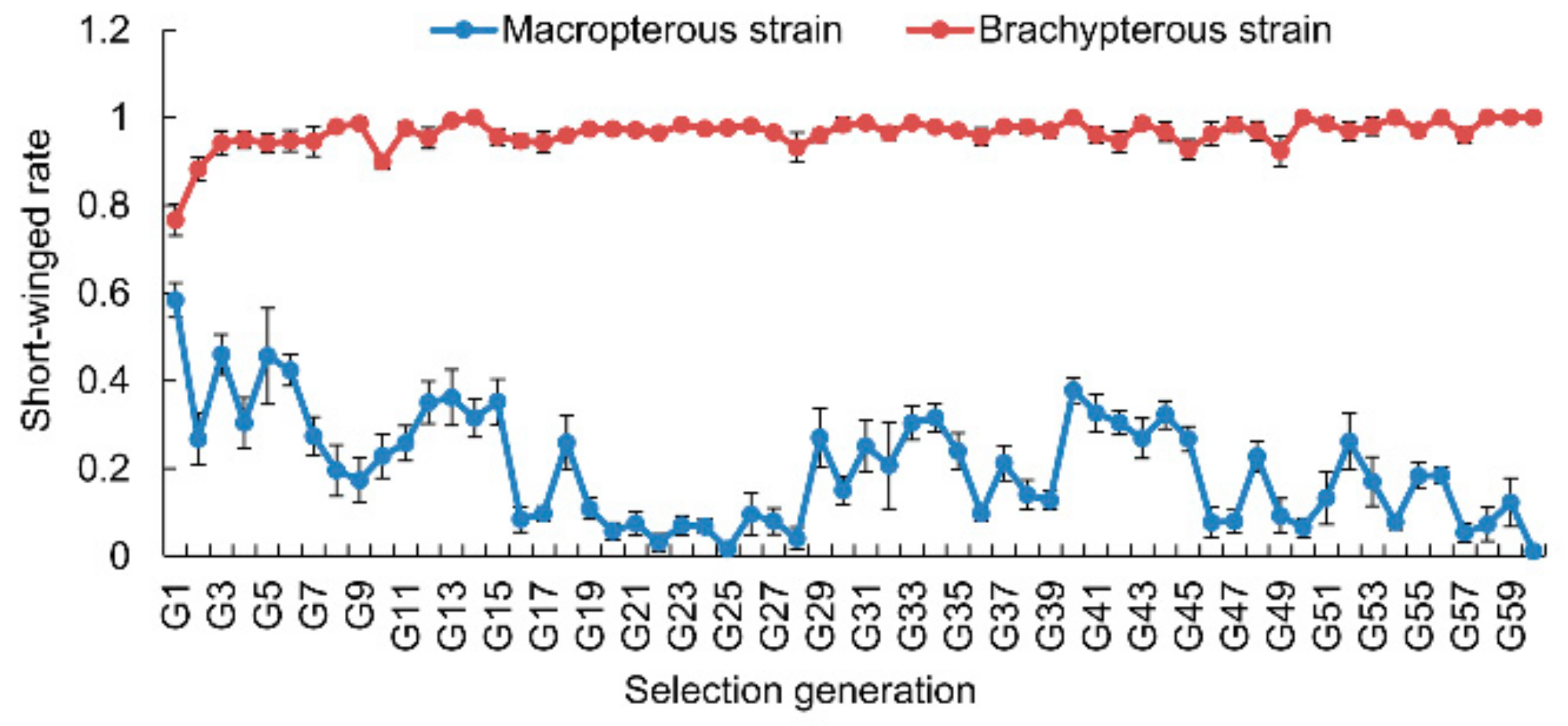 Genes 11 00019 g001 Genes 11 00019 g001