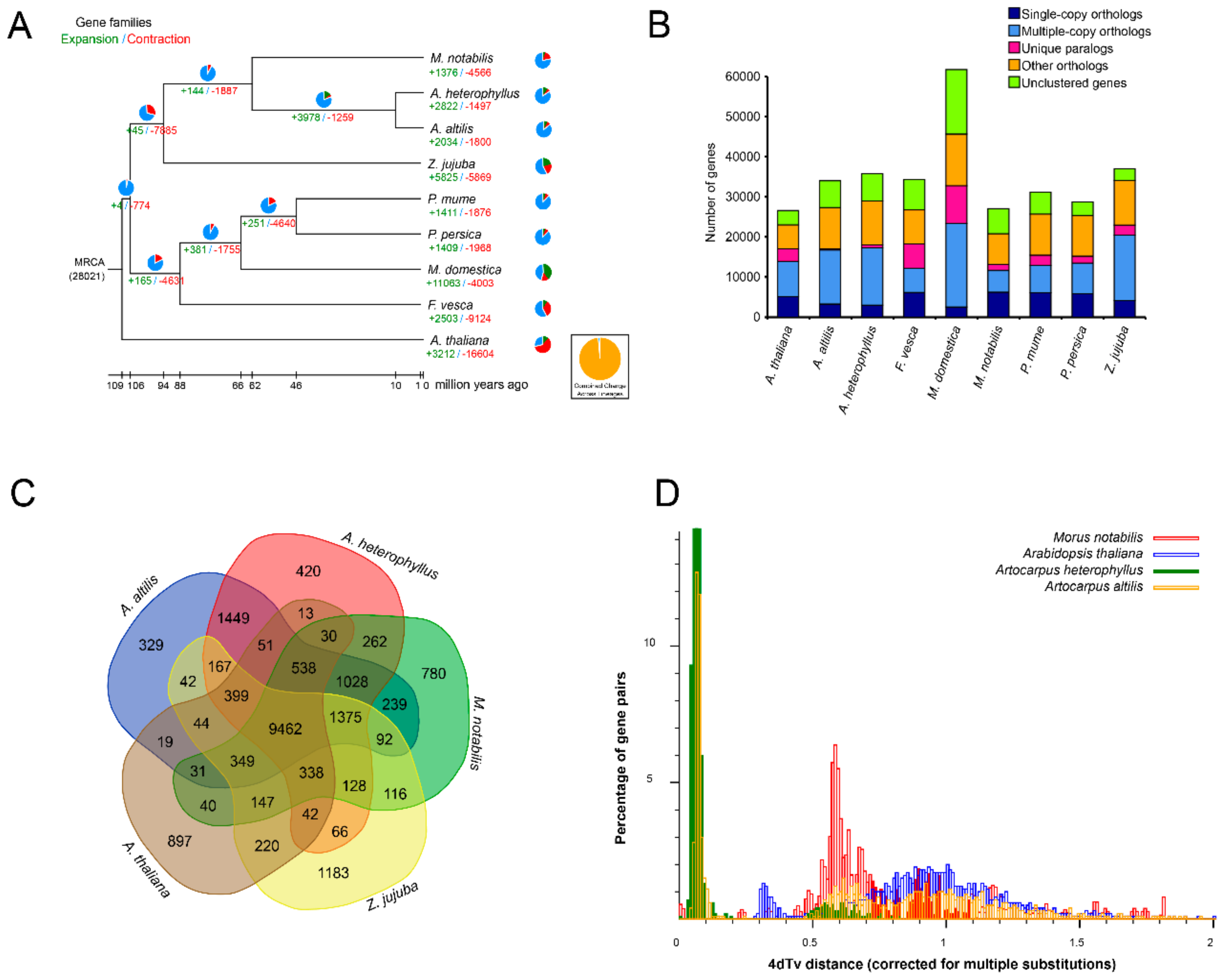 Genes 11 00027 g001