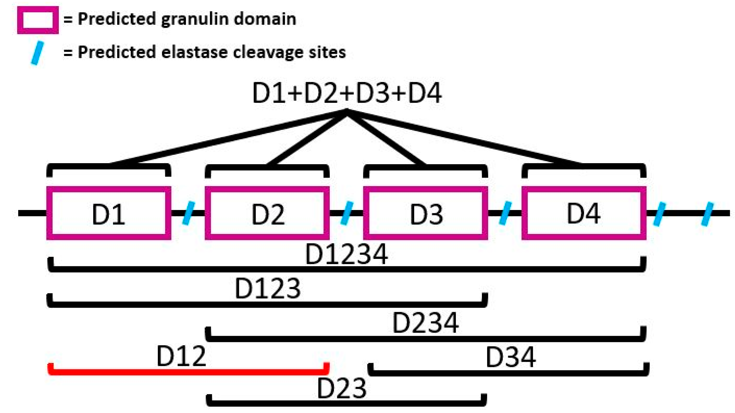 Genes 11 00038 g001 Genes 11 00038 g001