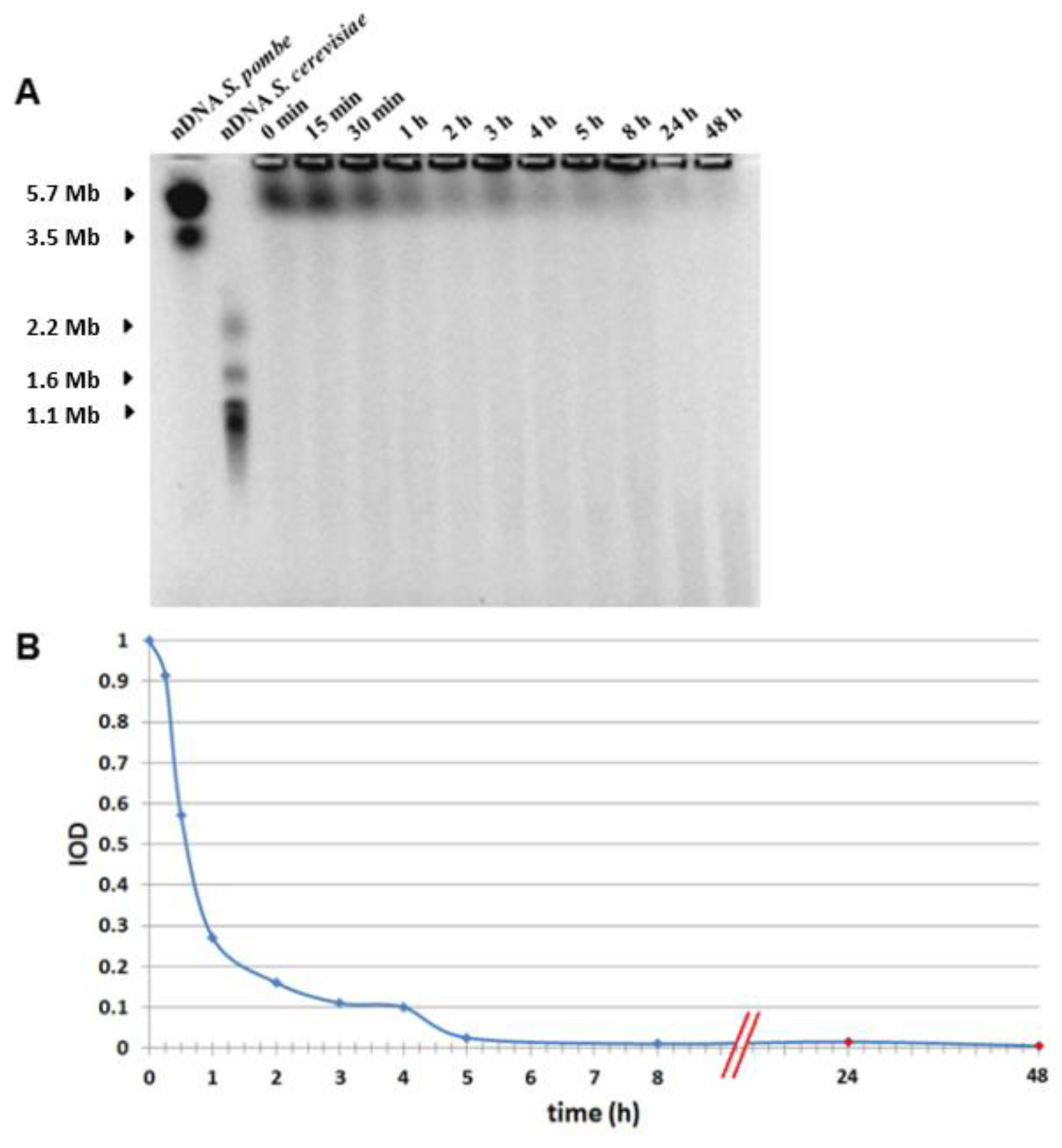 Genes | Free Full-Text | Biodosimetry of Low Dose Ionizing ...