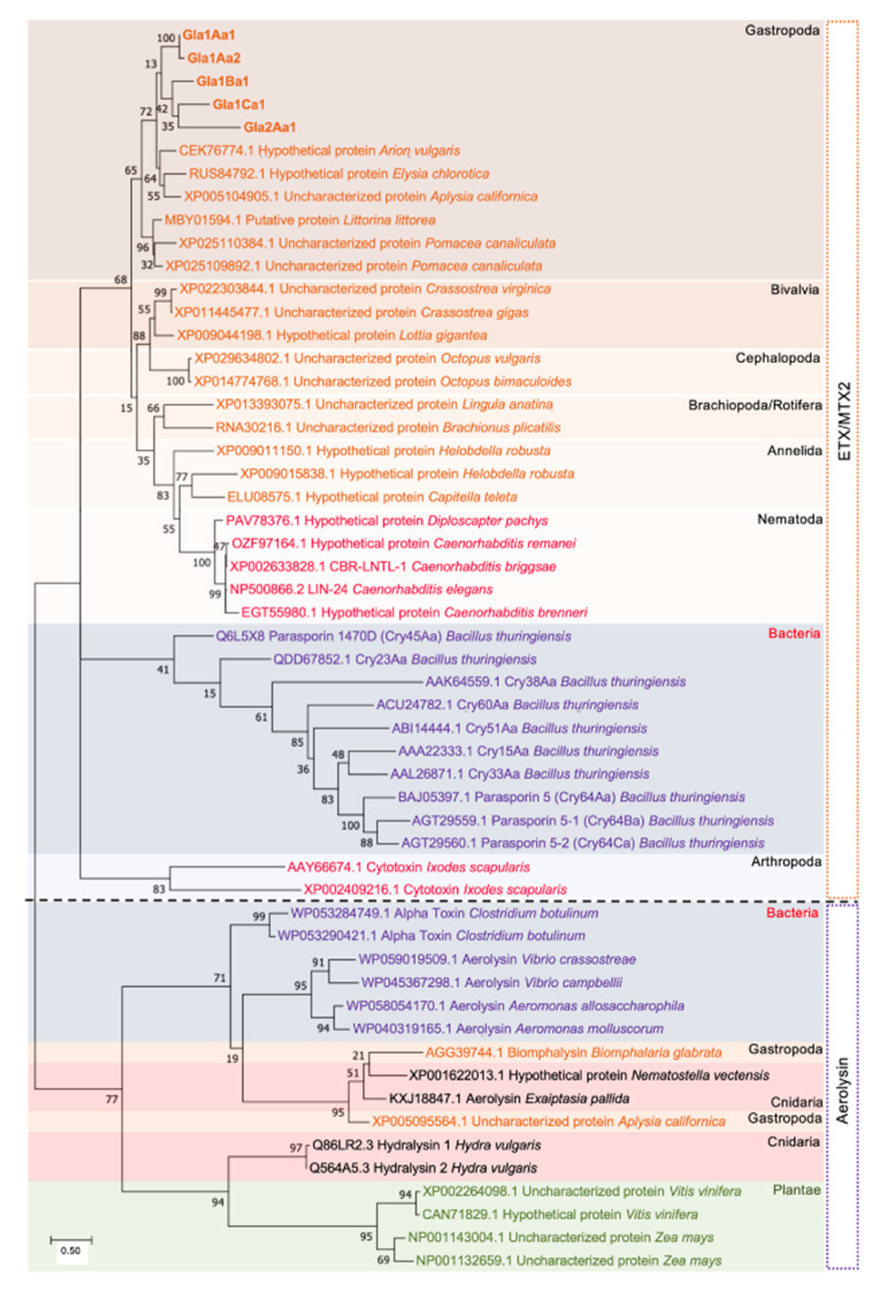 Genes 11 00065 g004