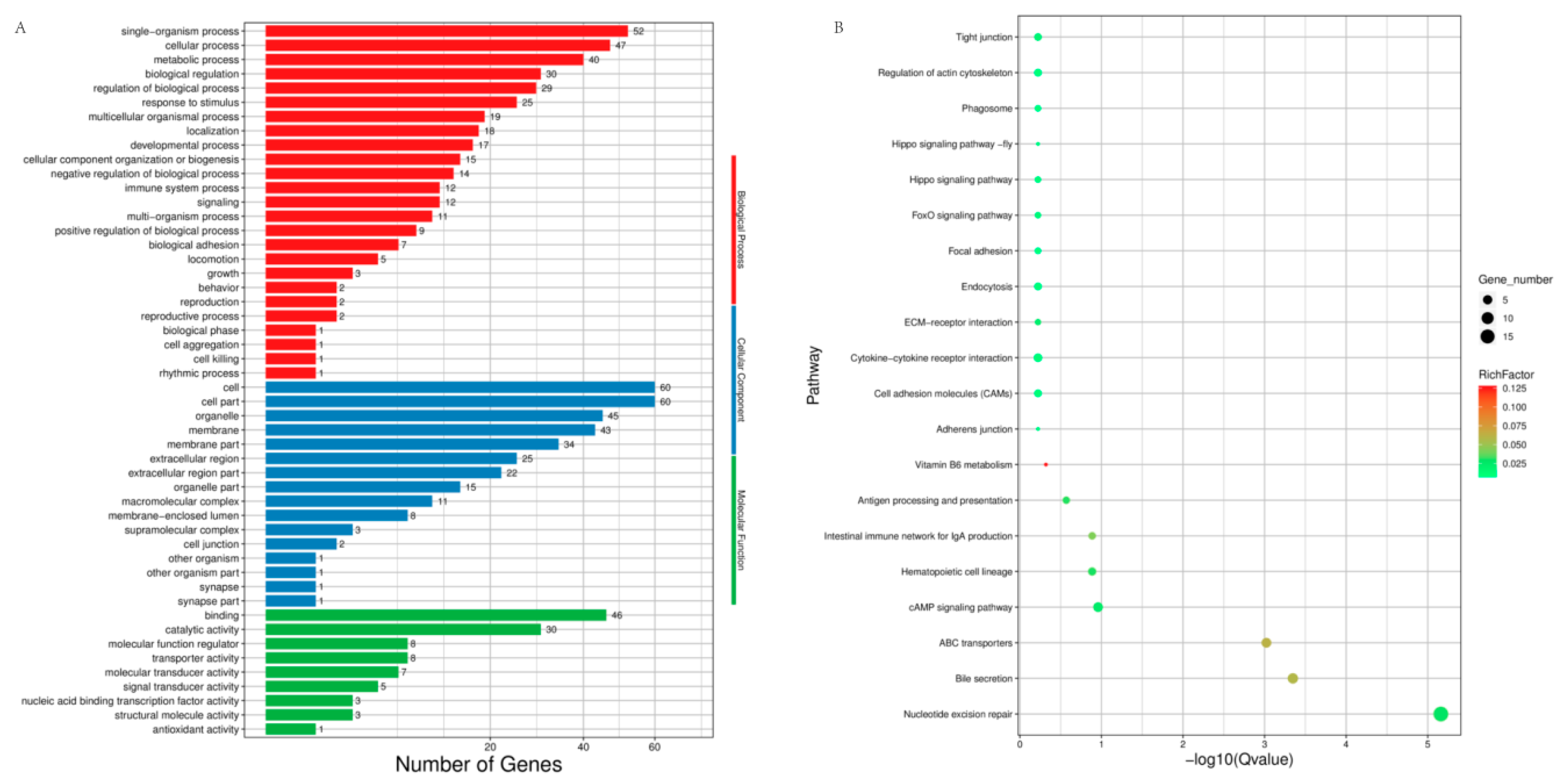 Genes 11 00068 g003