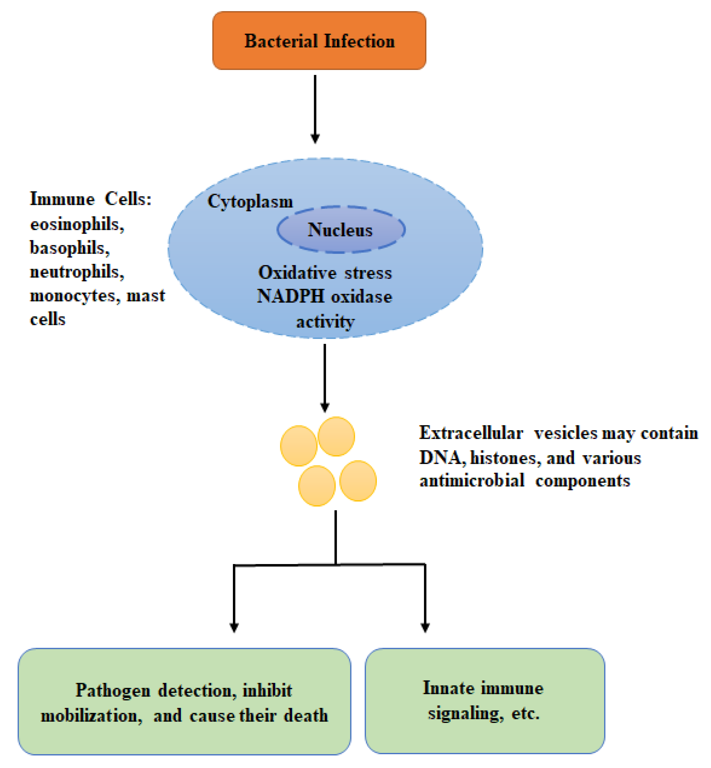 Genes 11 00086 g002 Genes 11 00086 g002