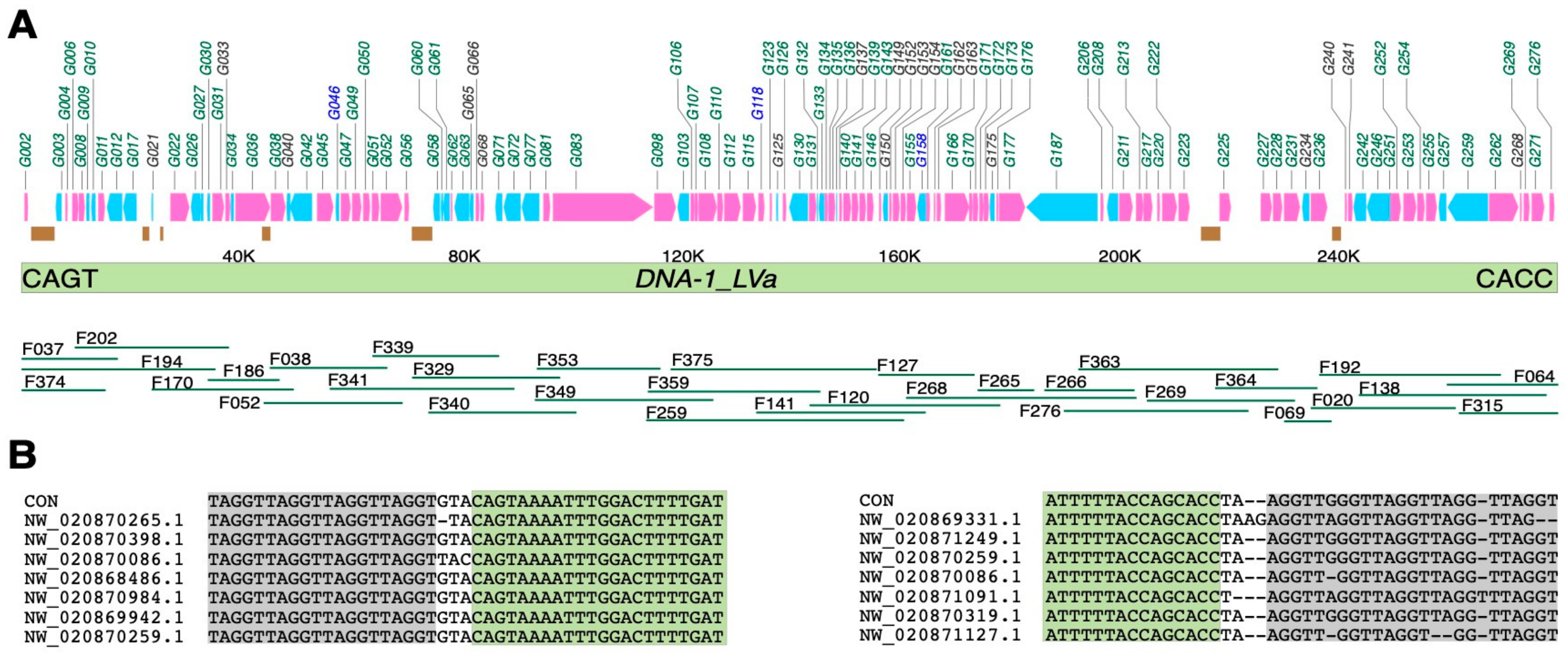 Genes 11 00094 g001