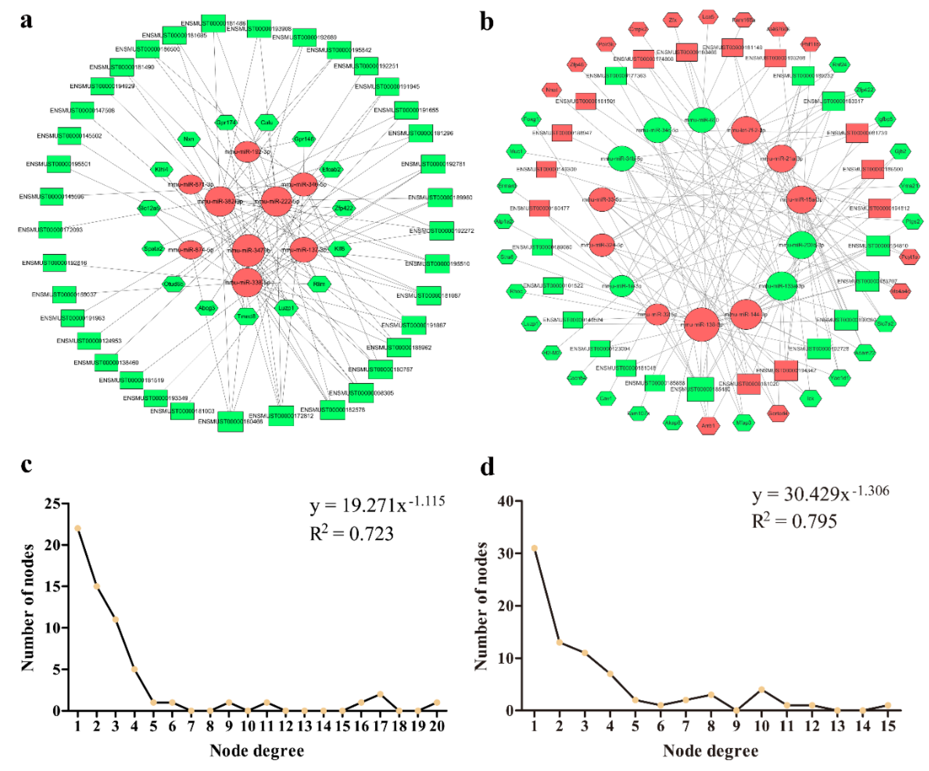 Genes 11 00147 g006