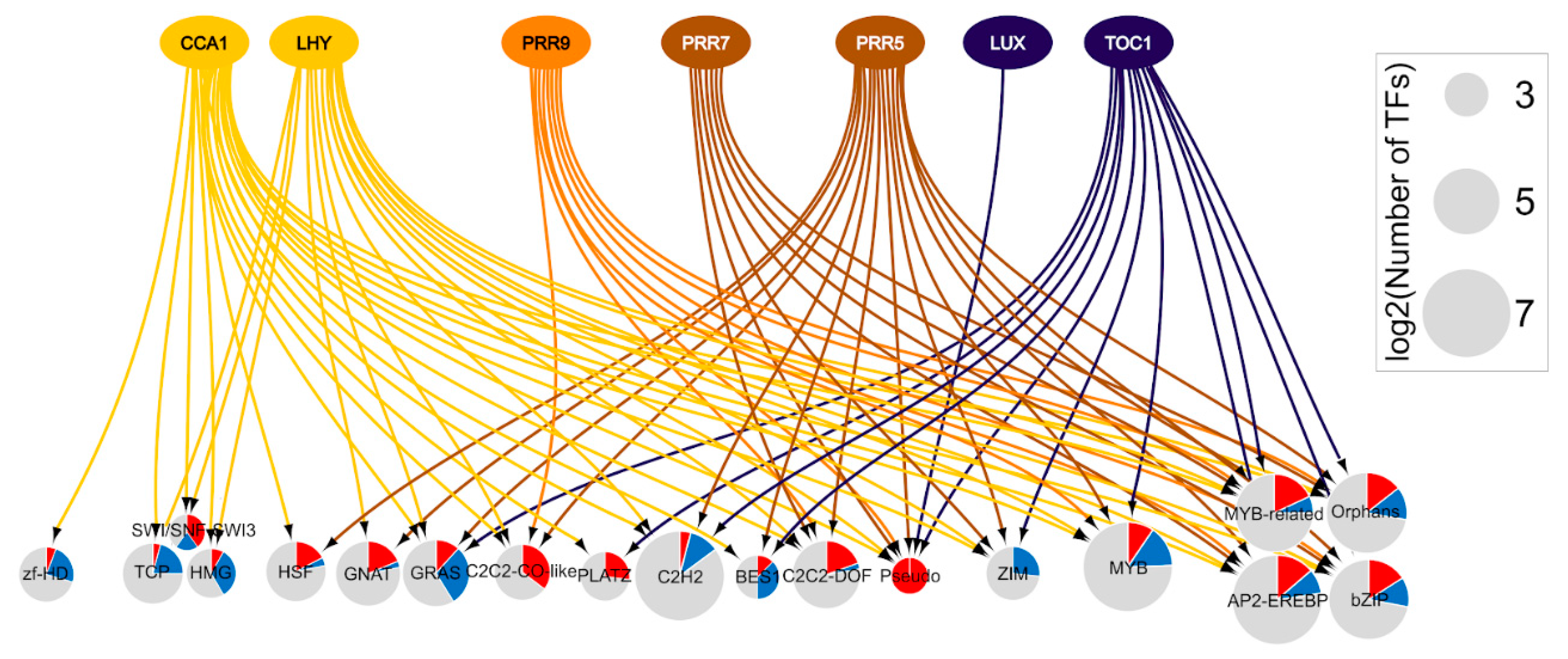 Genes 11 00156 g004
