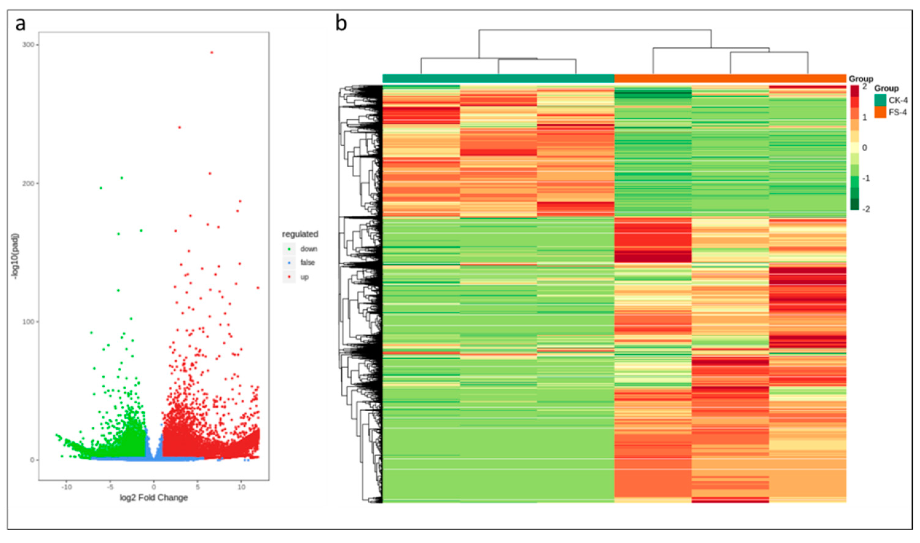 Genes 11 00177 g003