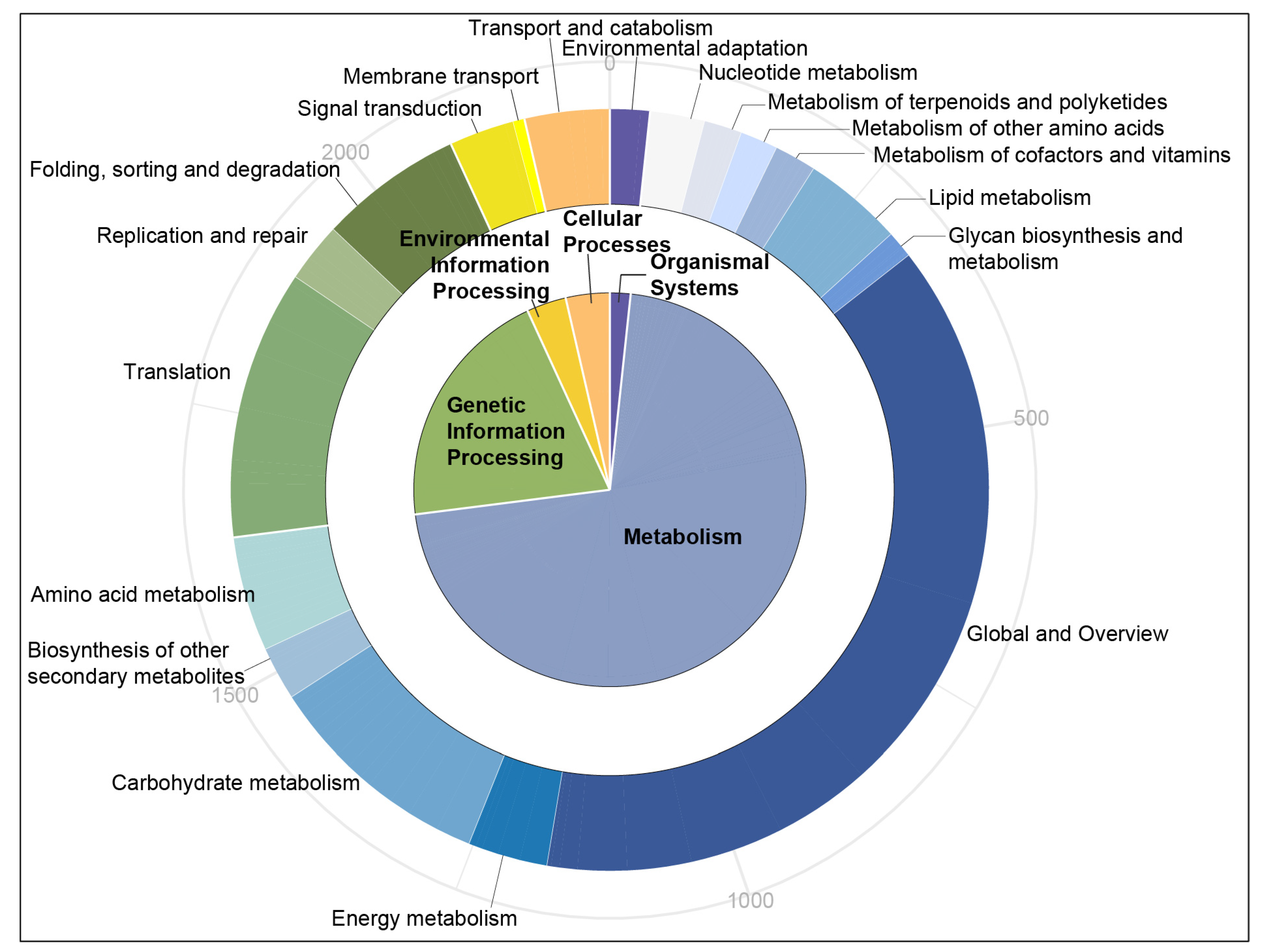 Genes 11 00214 g003 Genes 11 00214 g003