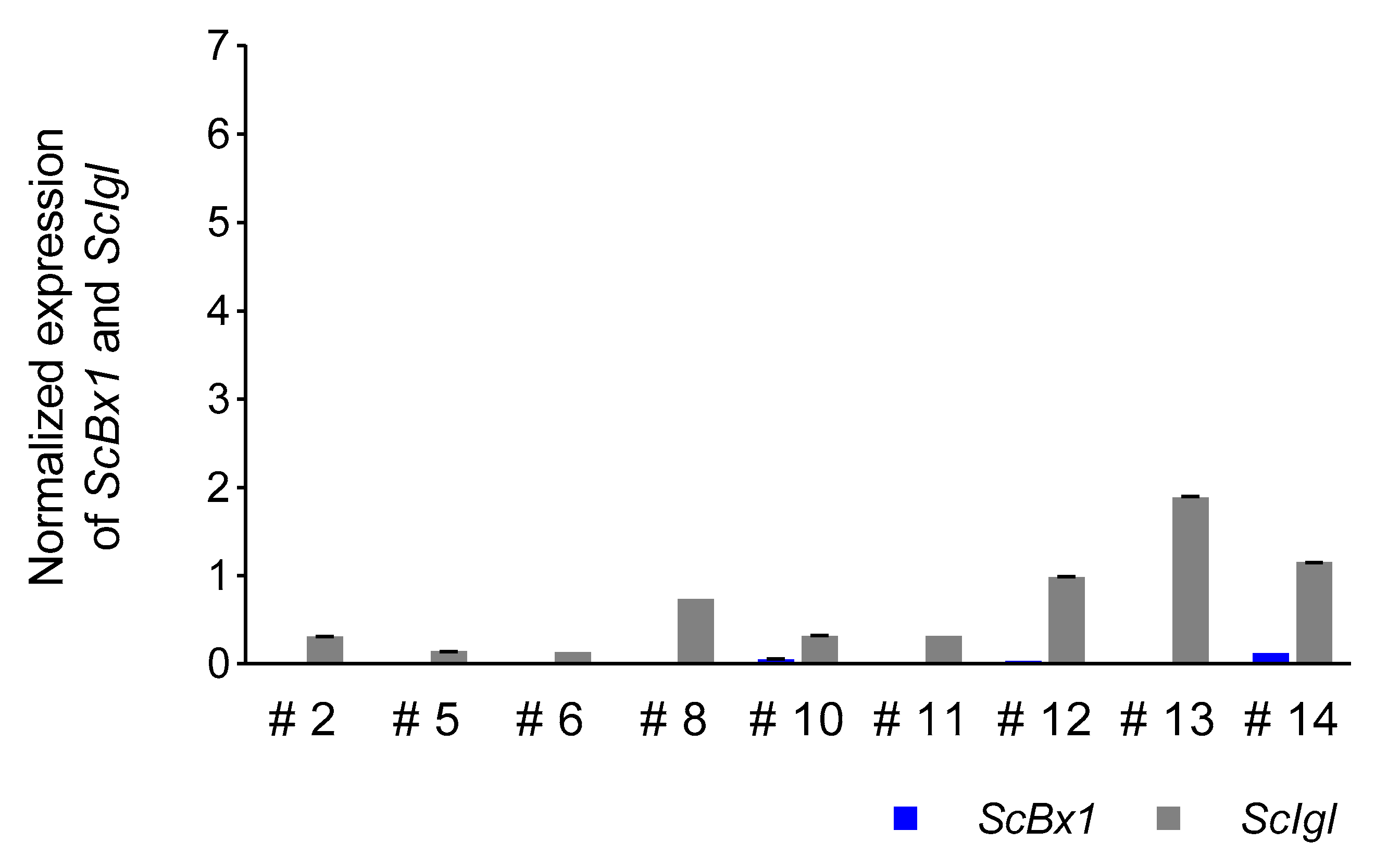 Genes 11 00223 g007 Genes 11 00223 g007