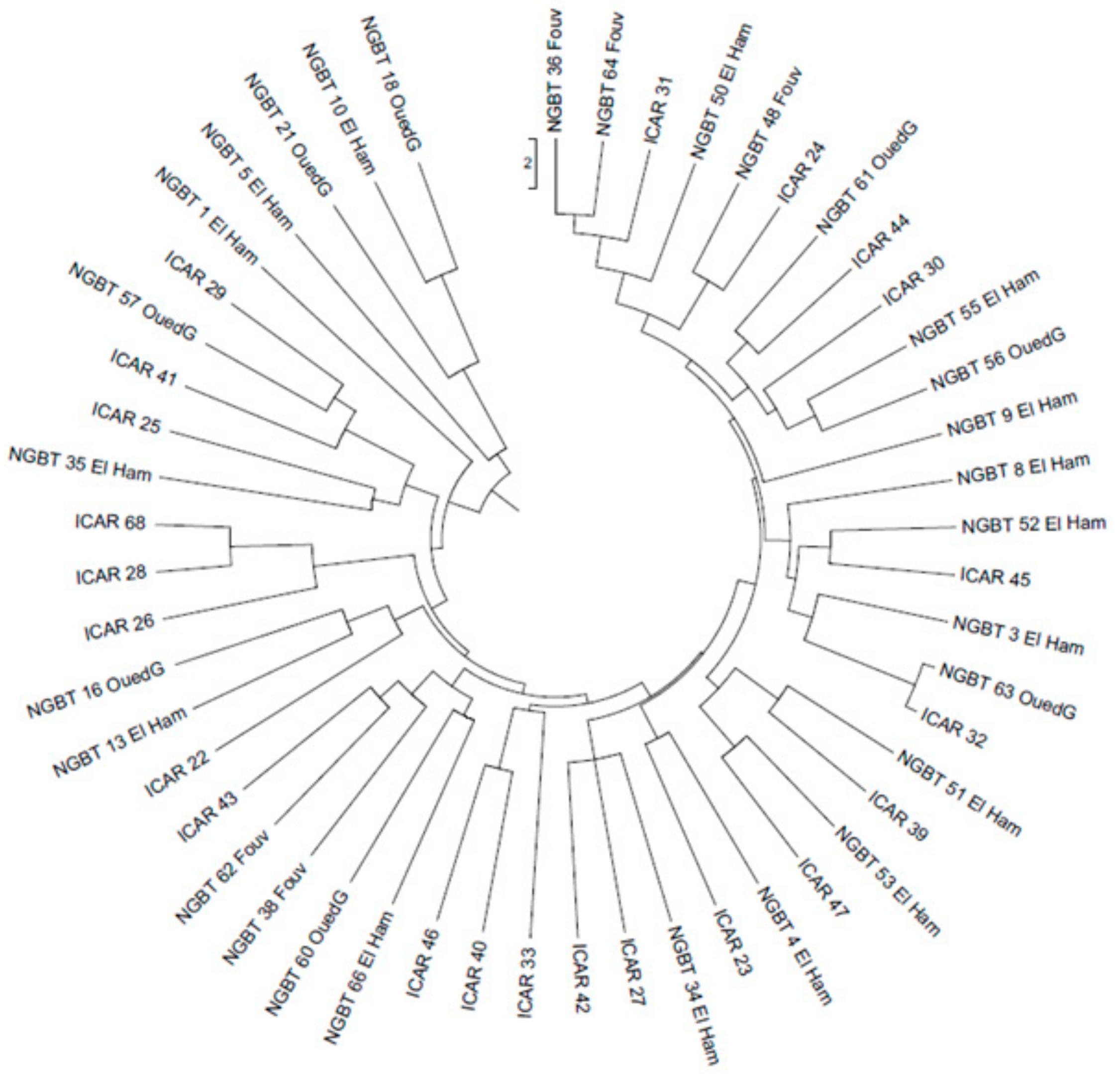 Genes 11 00236 g003 Genes 11 00236 g003