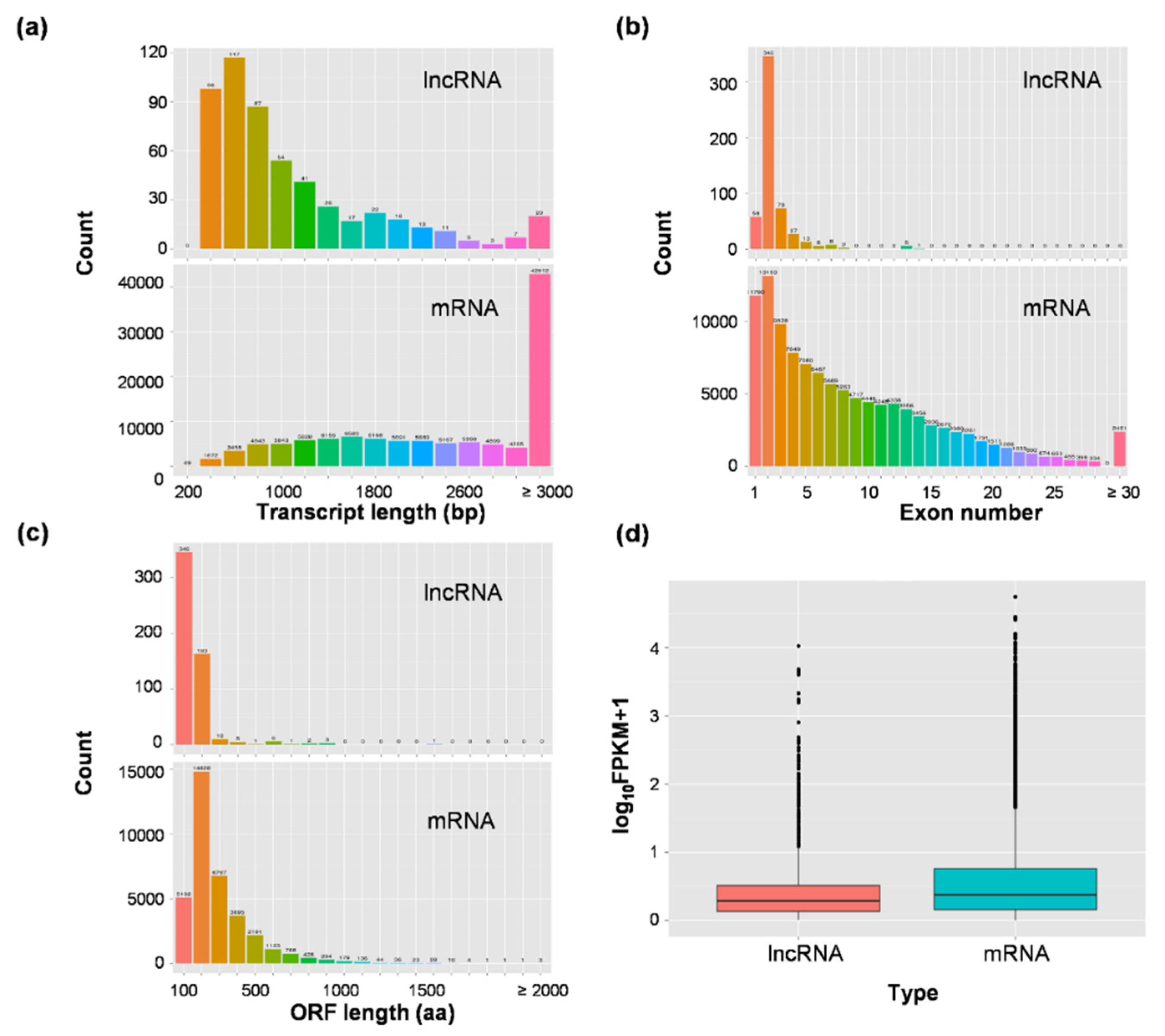 Genes 11 00243 g003