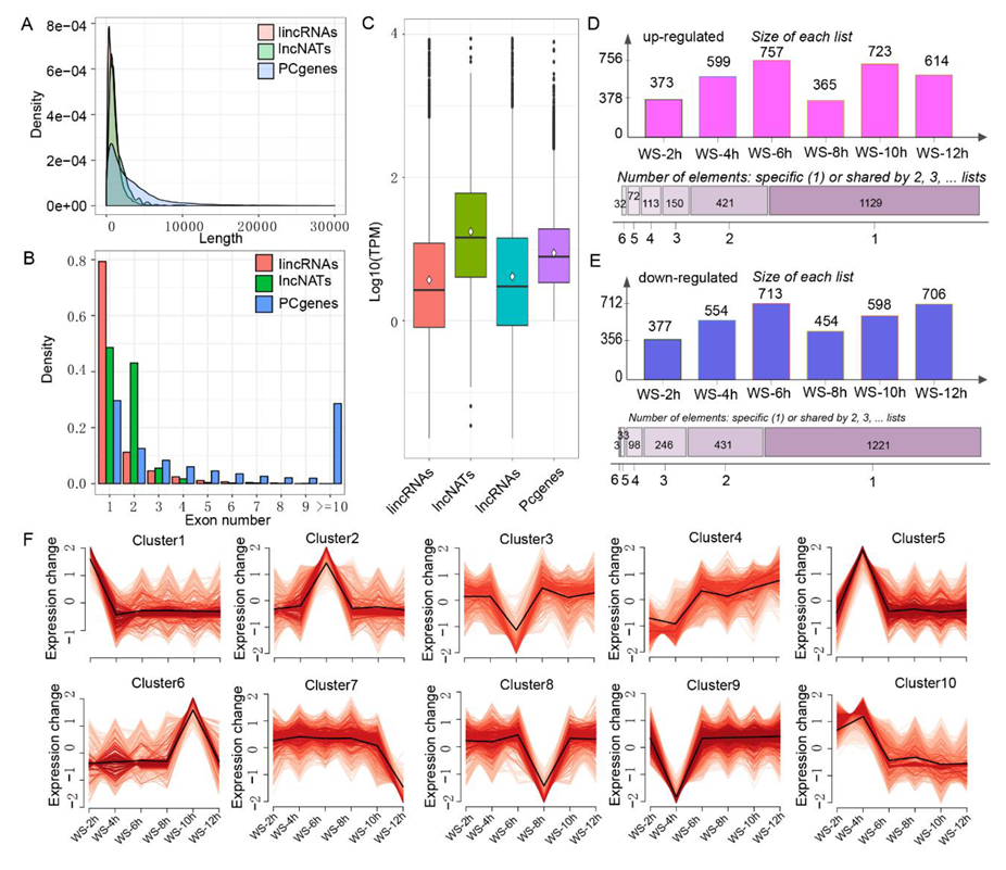 Genes 11 00267 g003