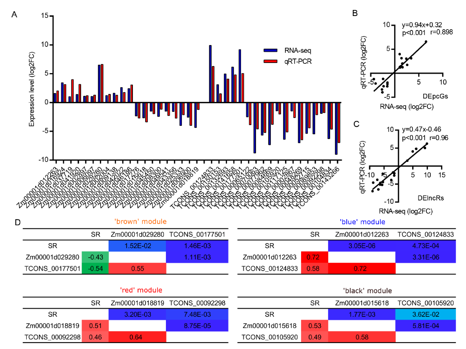 Genes 11 00267 g005