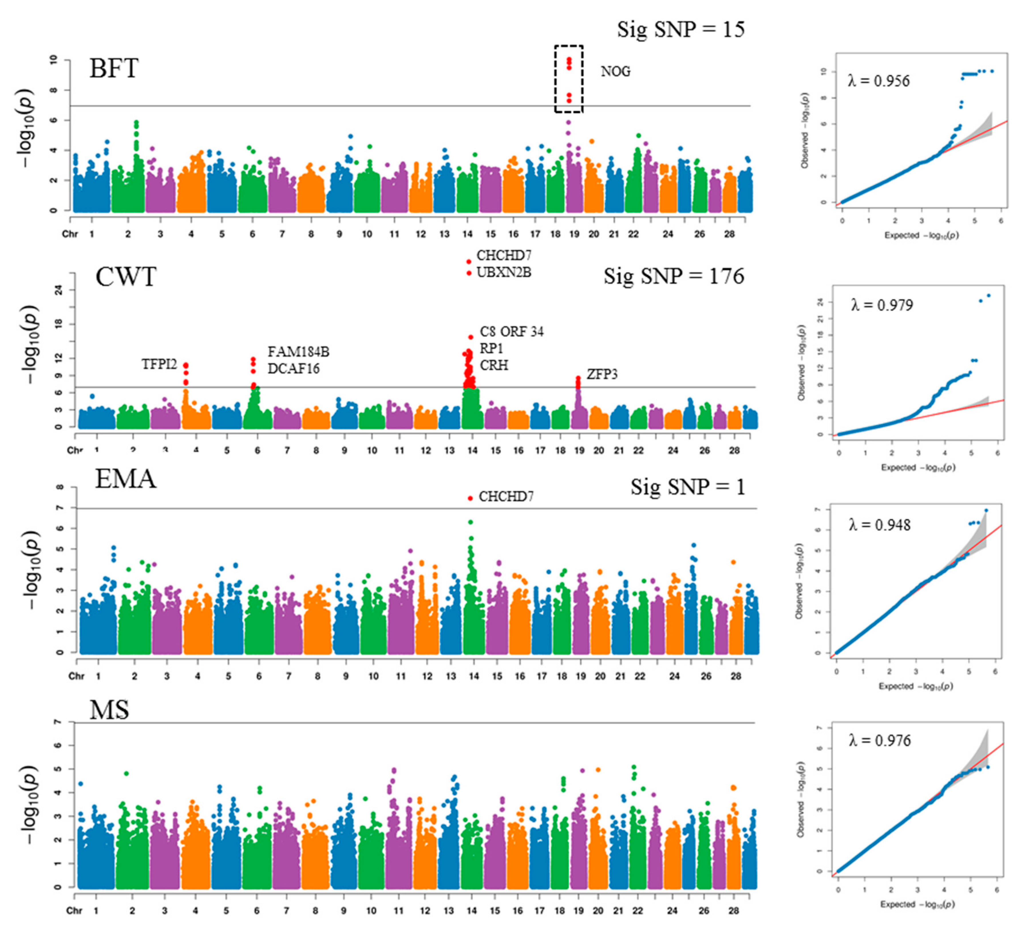 Genes 11 00316 g002 Genes 11 00316 g002