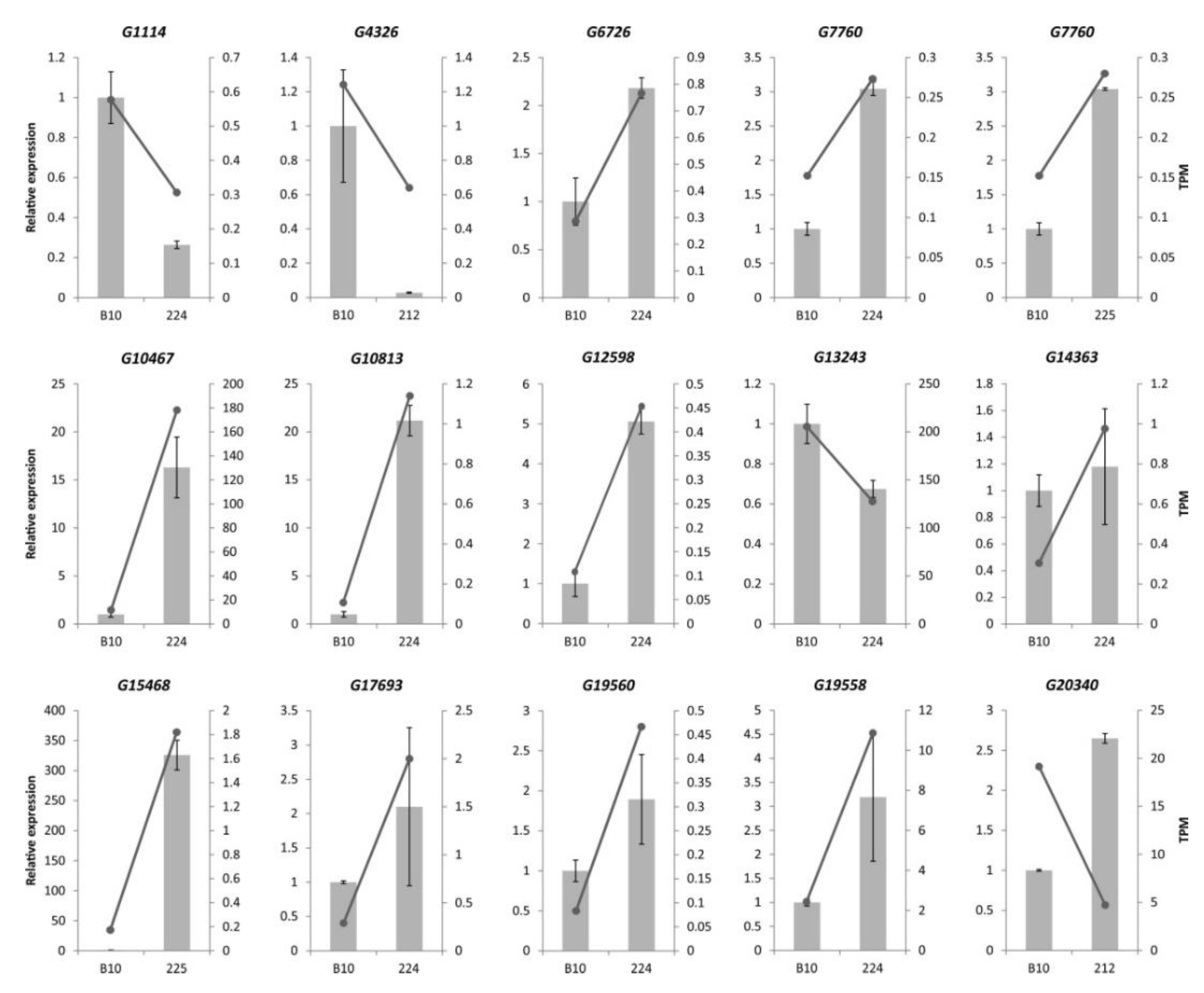 Genes 11 00334 g003 Genes 11 00334 g003