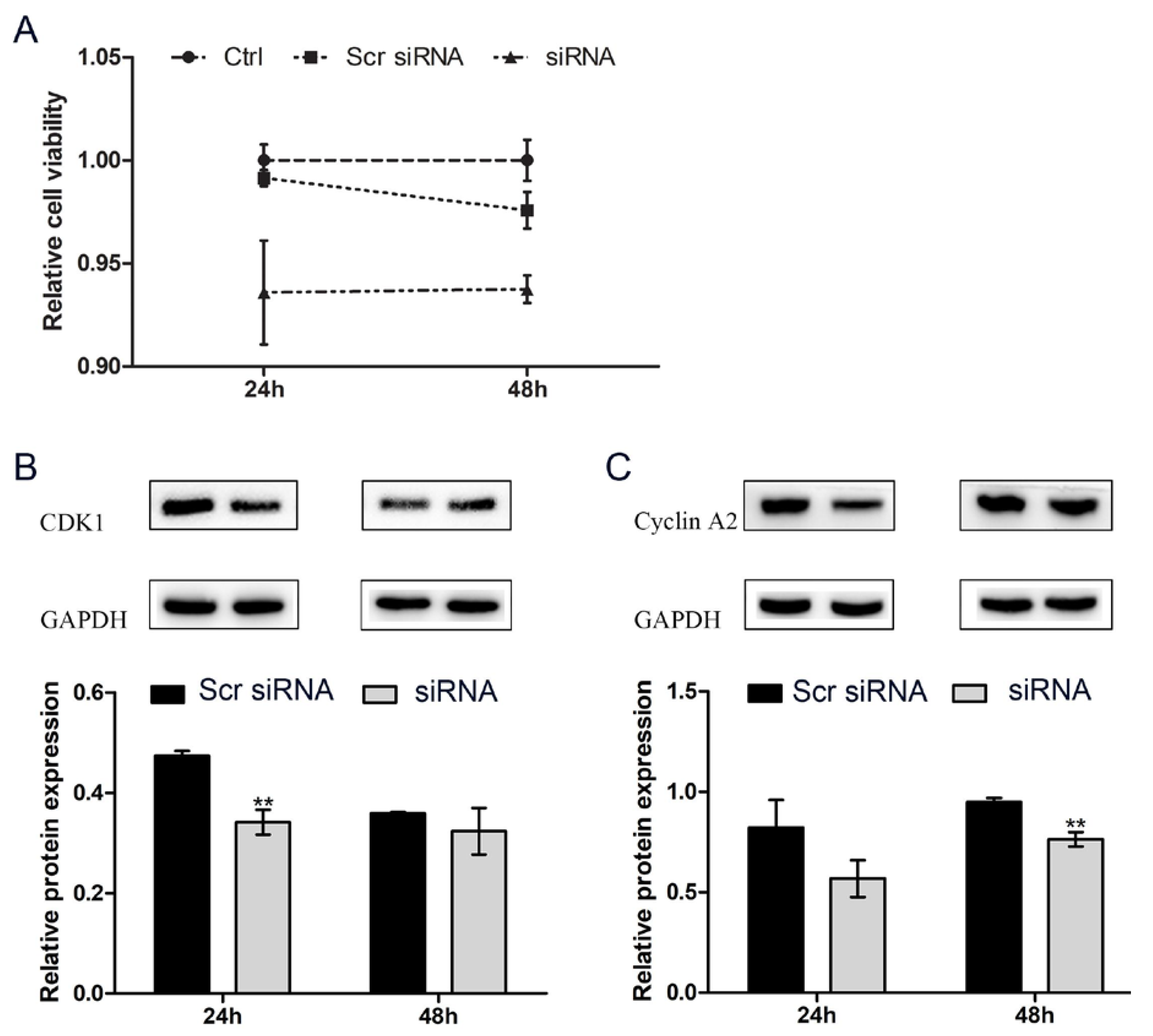 Genes 11 00336 g003 Genes 11 00336 g003