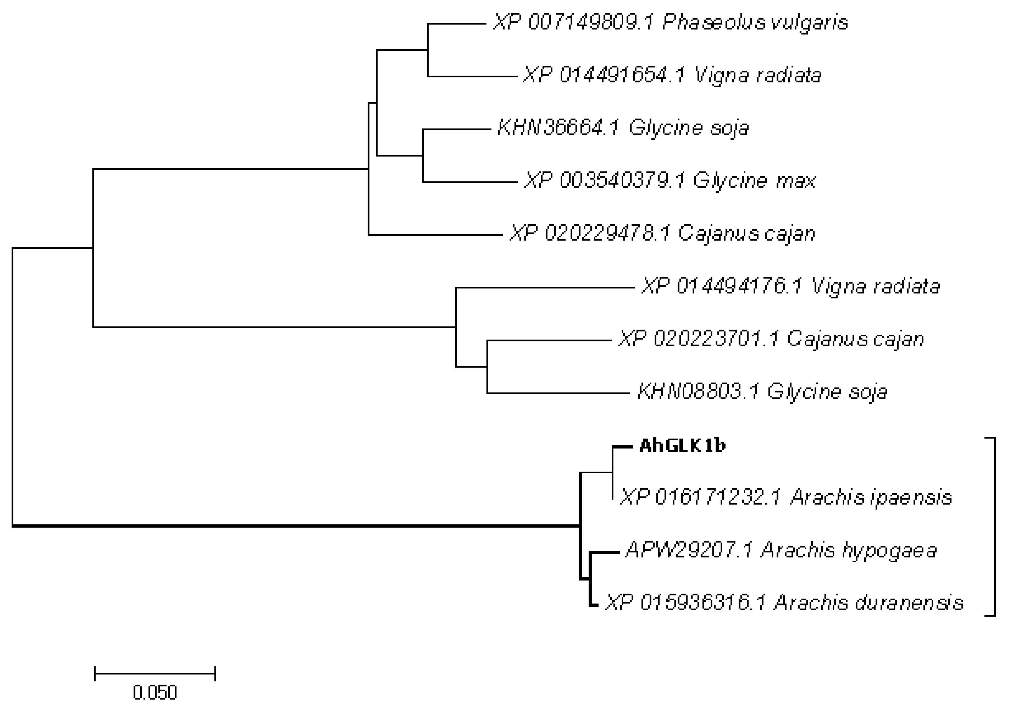 Genes 11 00343 g002 Genes 11 00343 g002