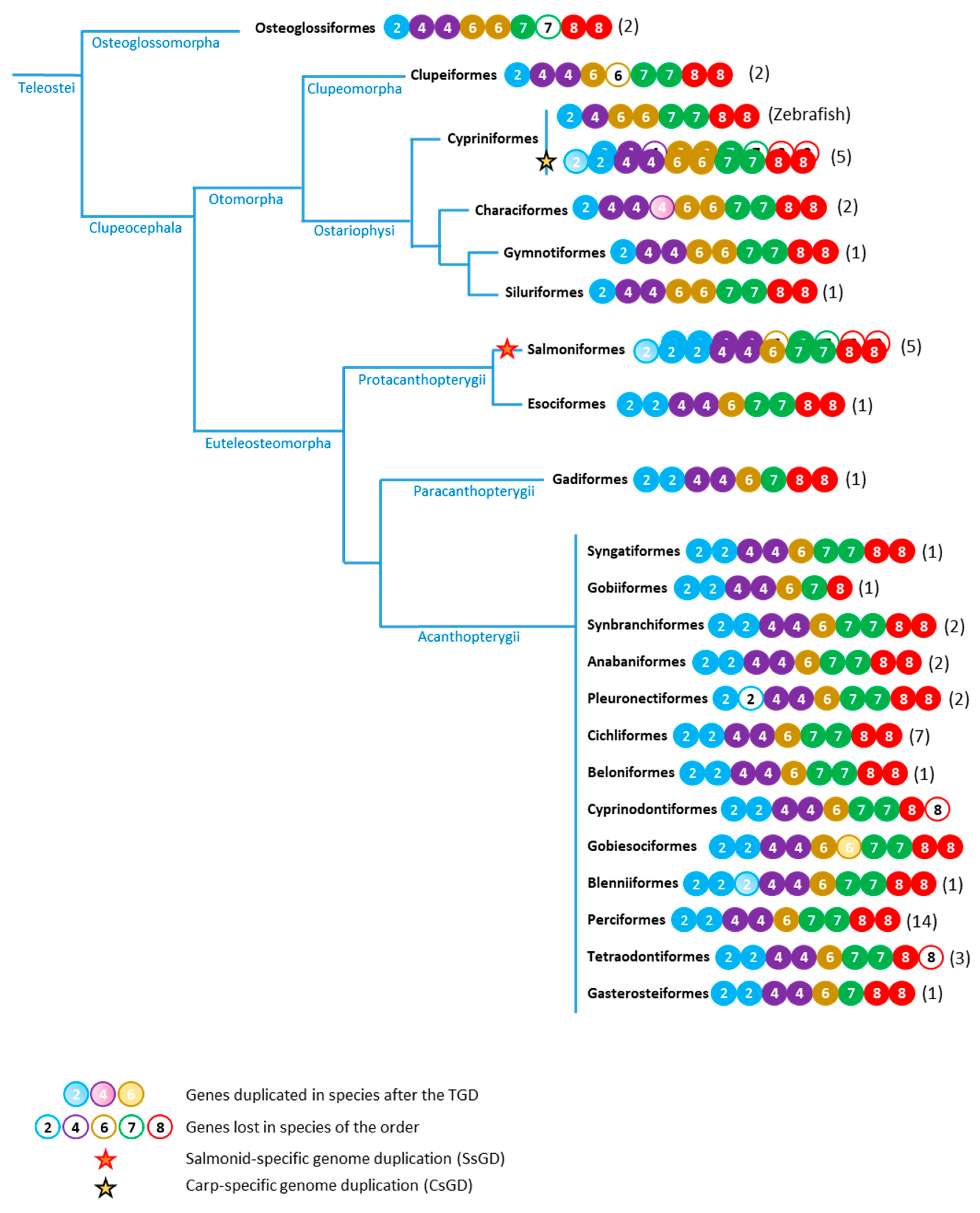 Genes 11 00362 g002 Genes 11 00362 g002