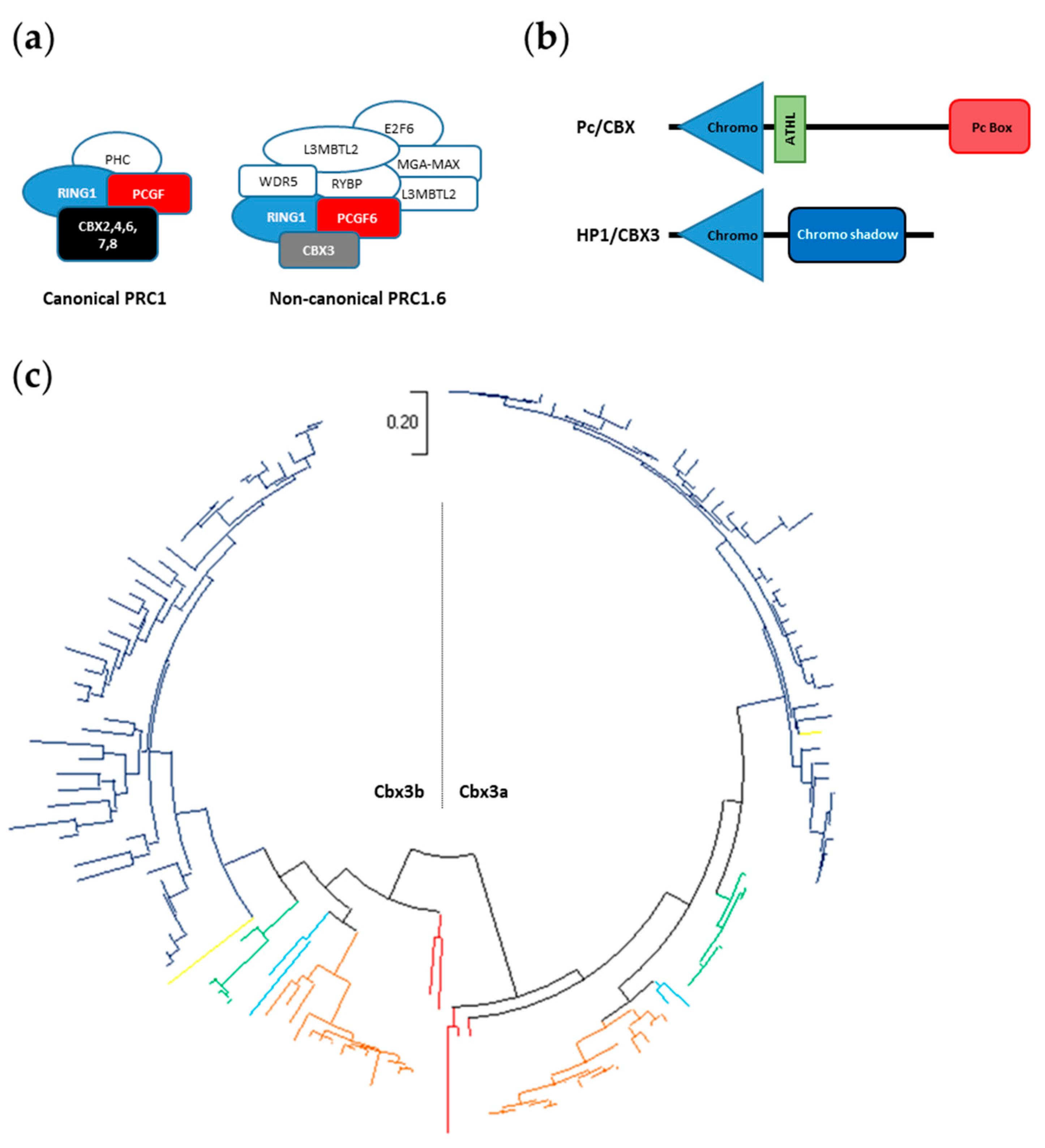 Genes 11 00362 g007 Genes 11 00362 g007