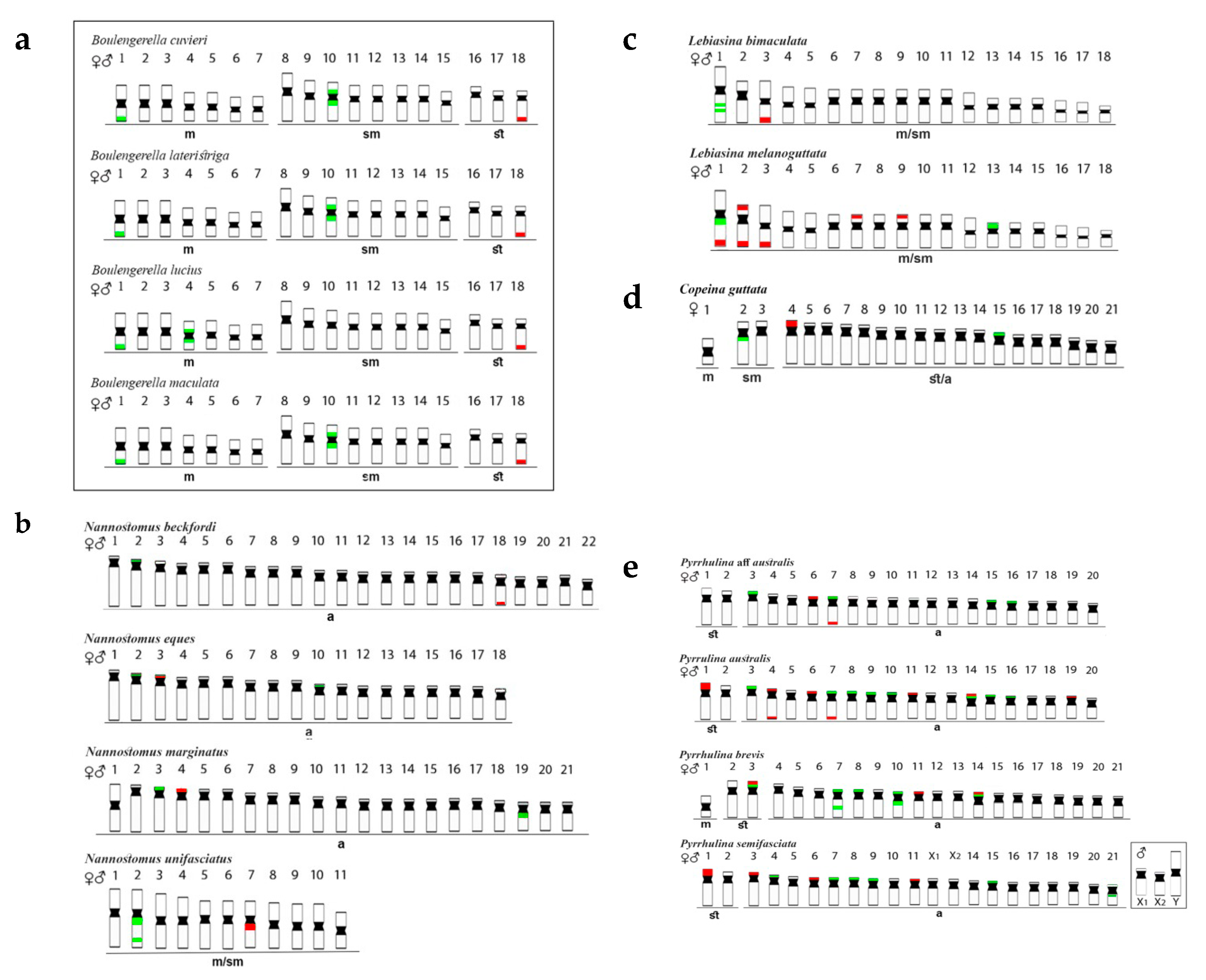 Genes 11 00365 g002 Genes 11 00365 g002