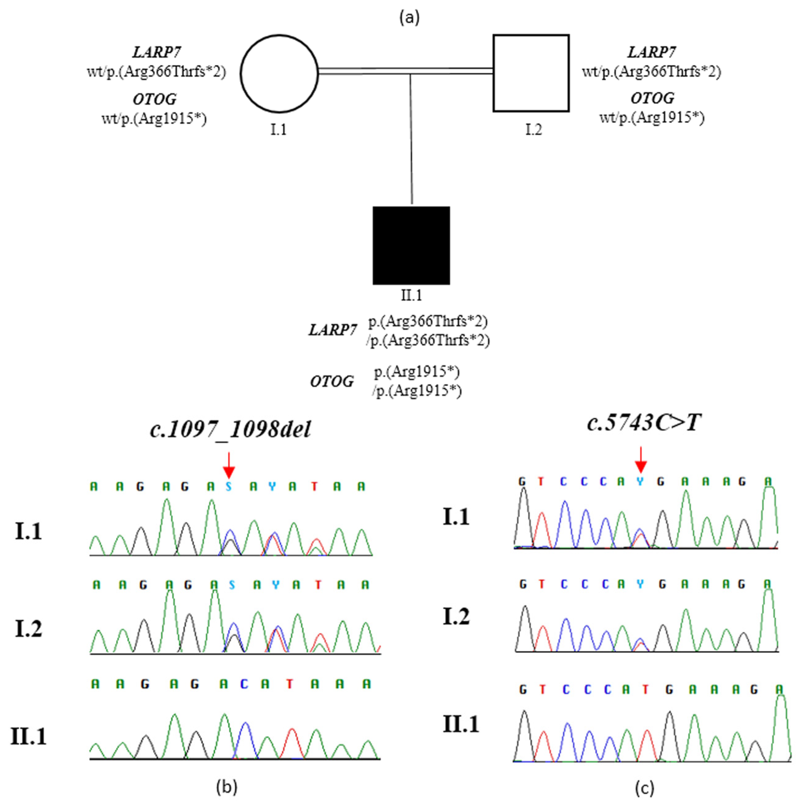 Genes | Free Full-Text | Compound Phenotype Due to Recessive Variants ...