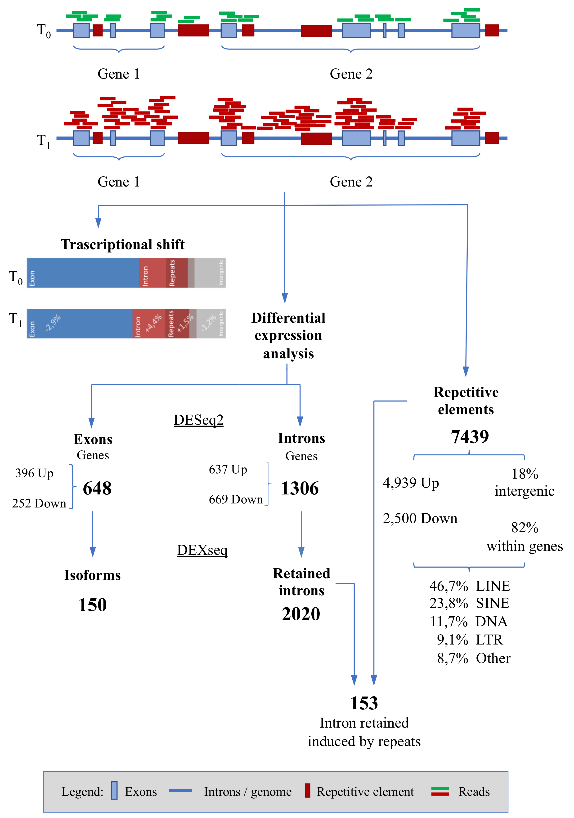 Genes 11 00410 g001