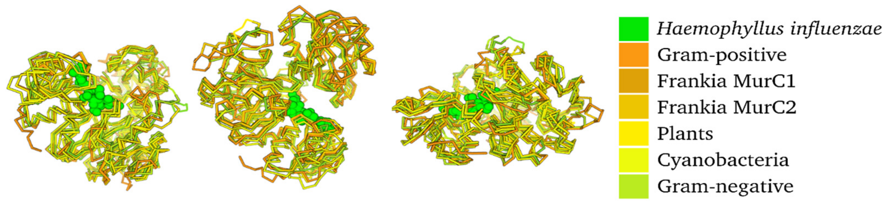 Genes 11 00432 g003 Genes 11 00432 g003