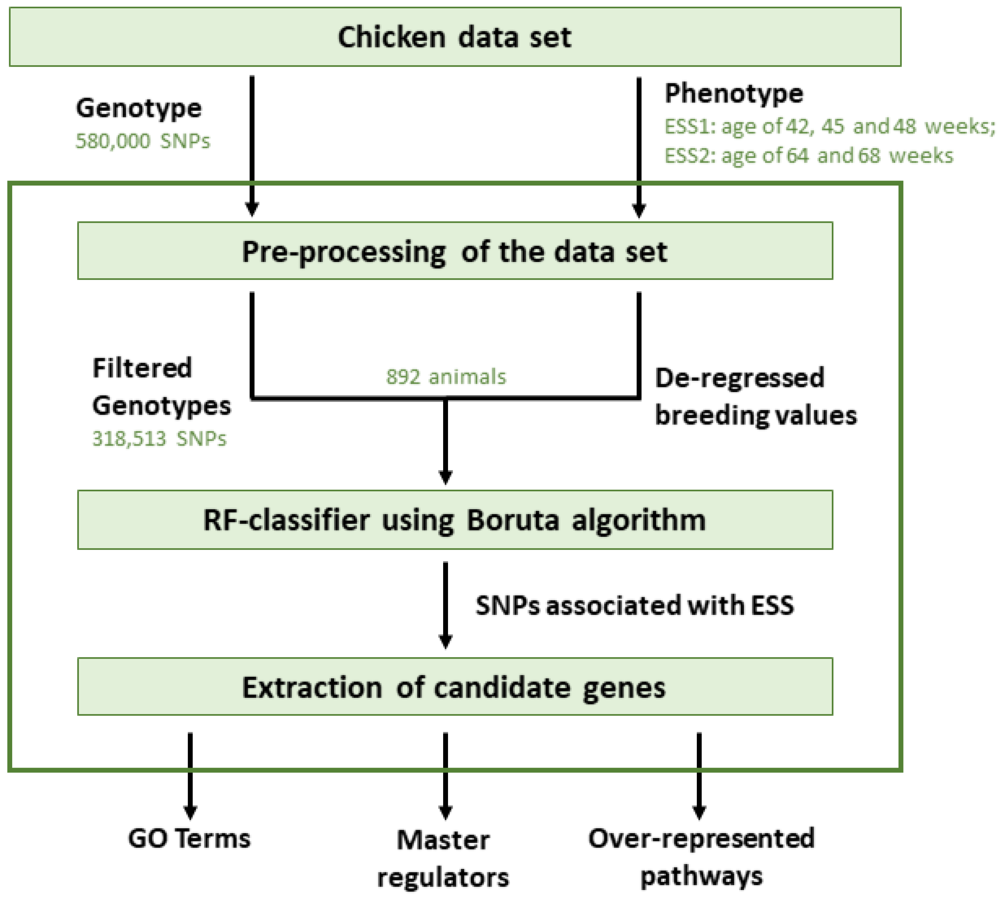 Genes | Free Full-Text | Identification of Age-Specific and Common Key ...