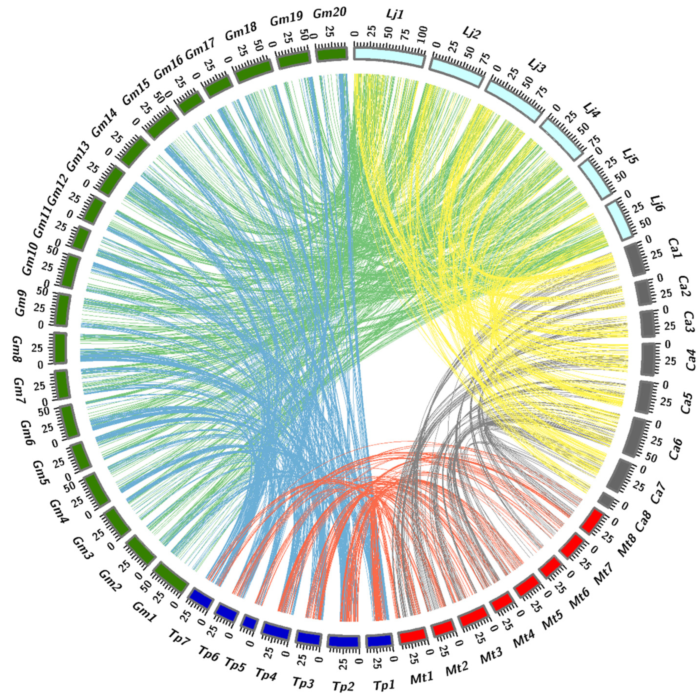 Genes 11 00483 g005 Genes 11 00483 g005