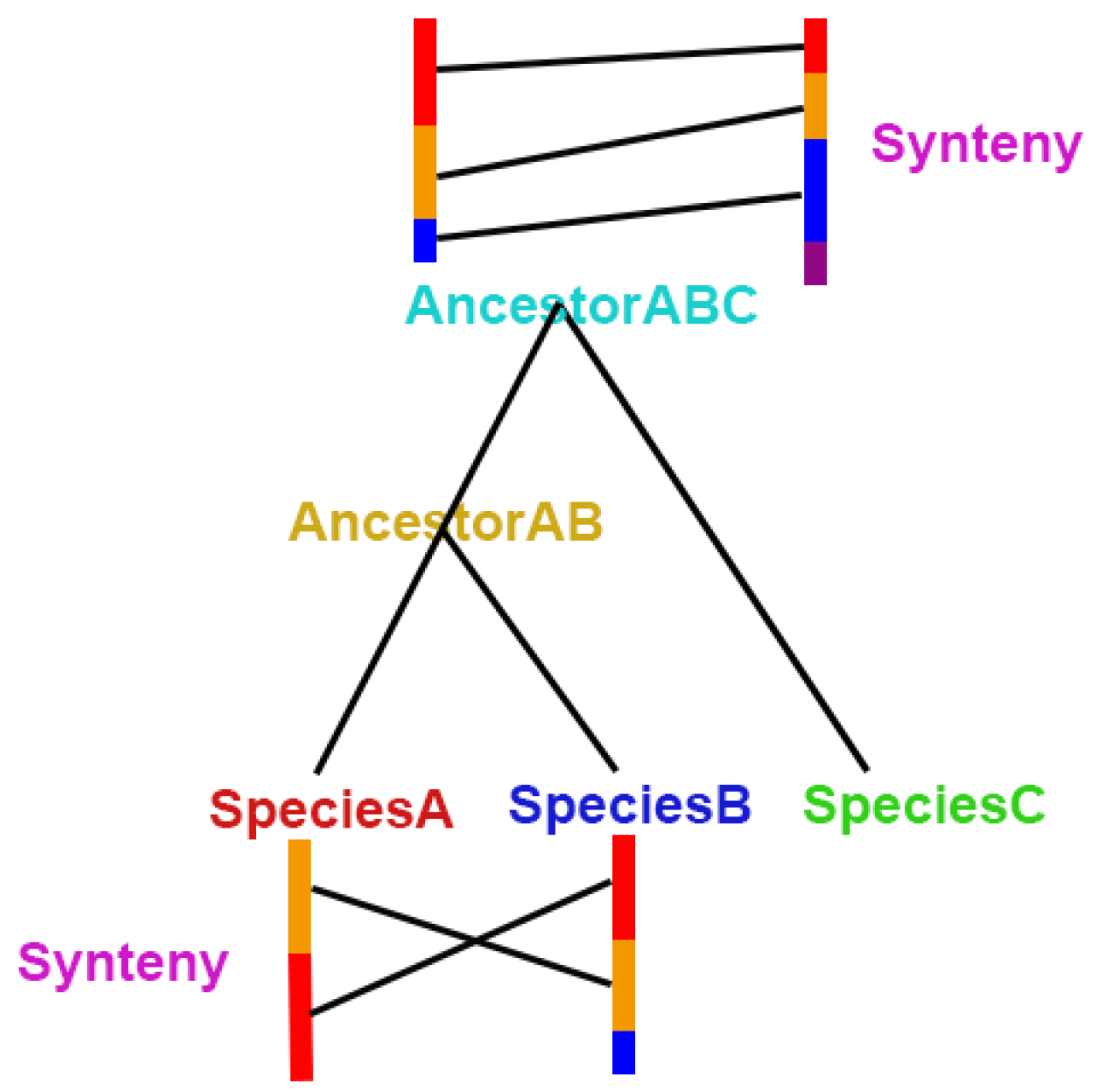 Genes 11 00483 g006 Genes 11 00483 g006