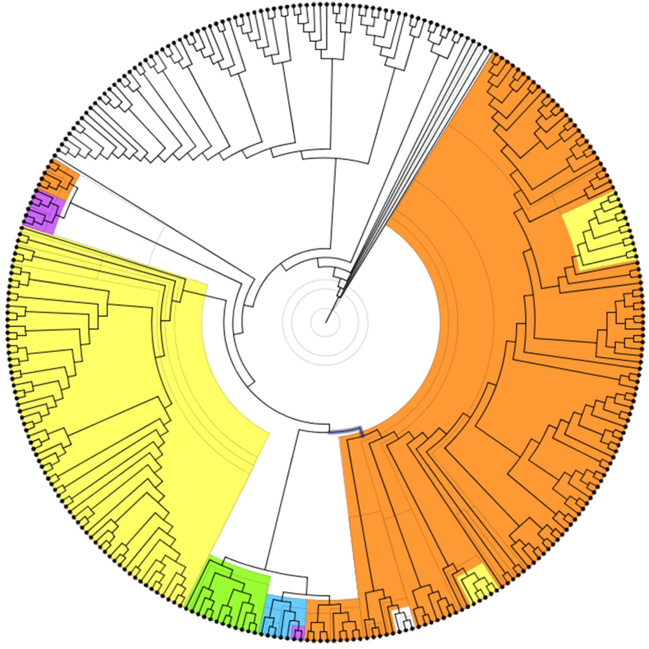 Genes 11 00483 g007 Genes 11 00483 g007