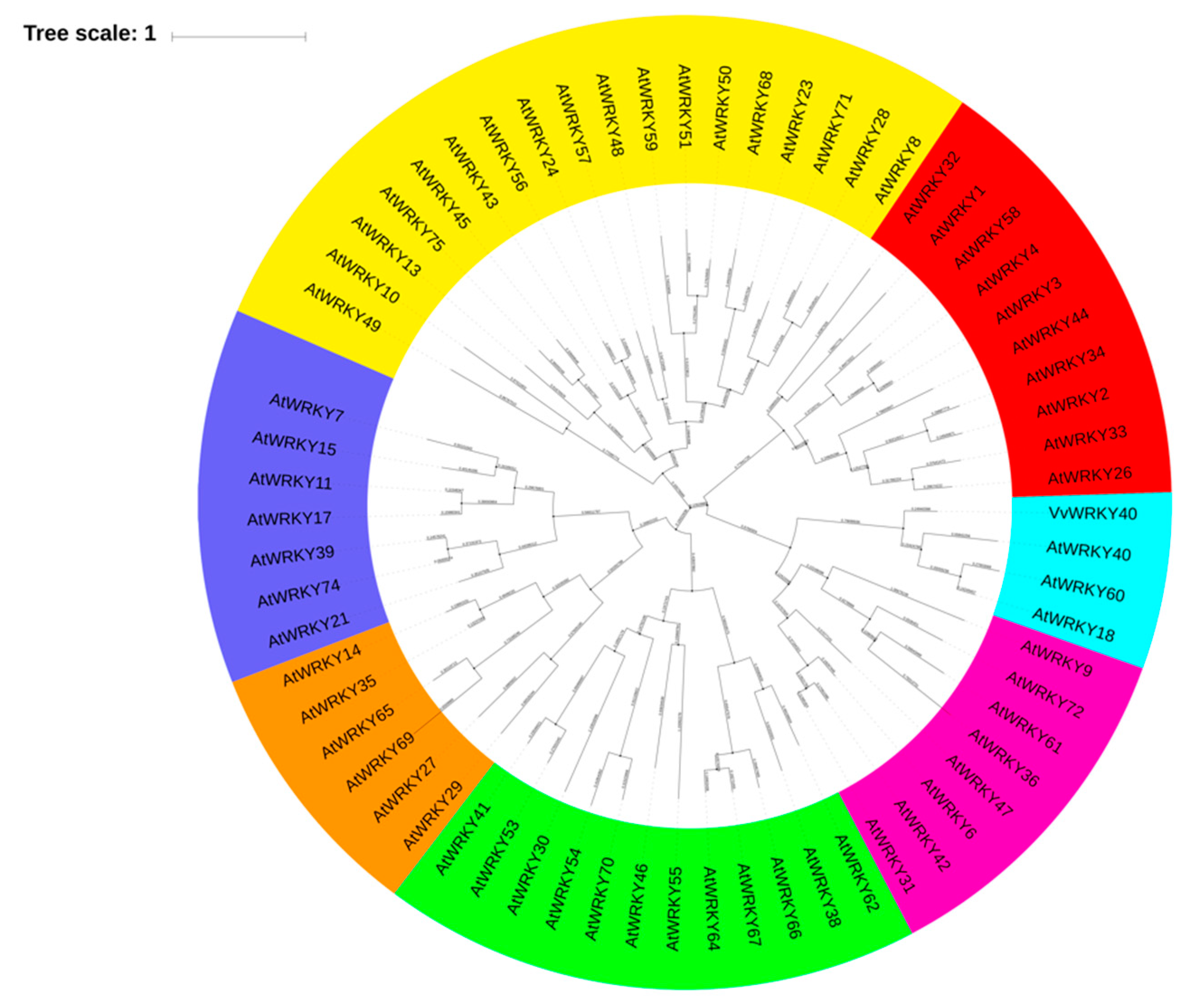 Genes 11 00485 g004 Genes 11 00485 g004