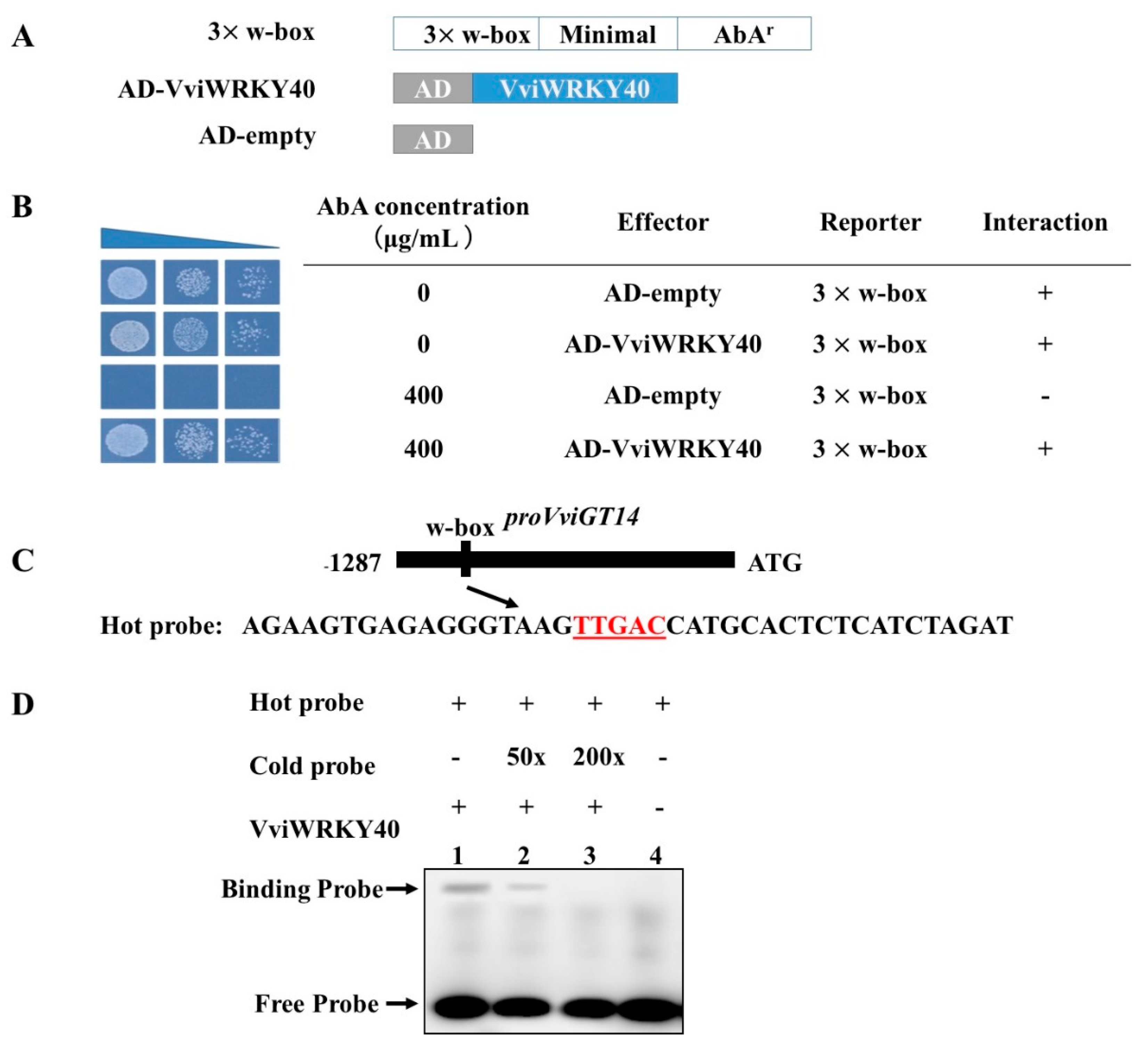 Genes 11 00485 g005 Genes 11 00485 g005