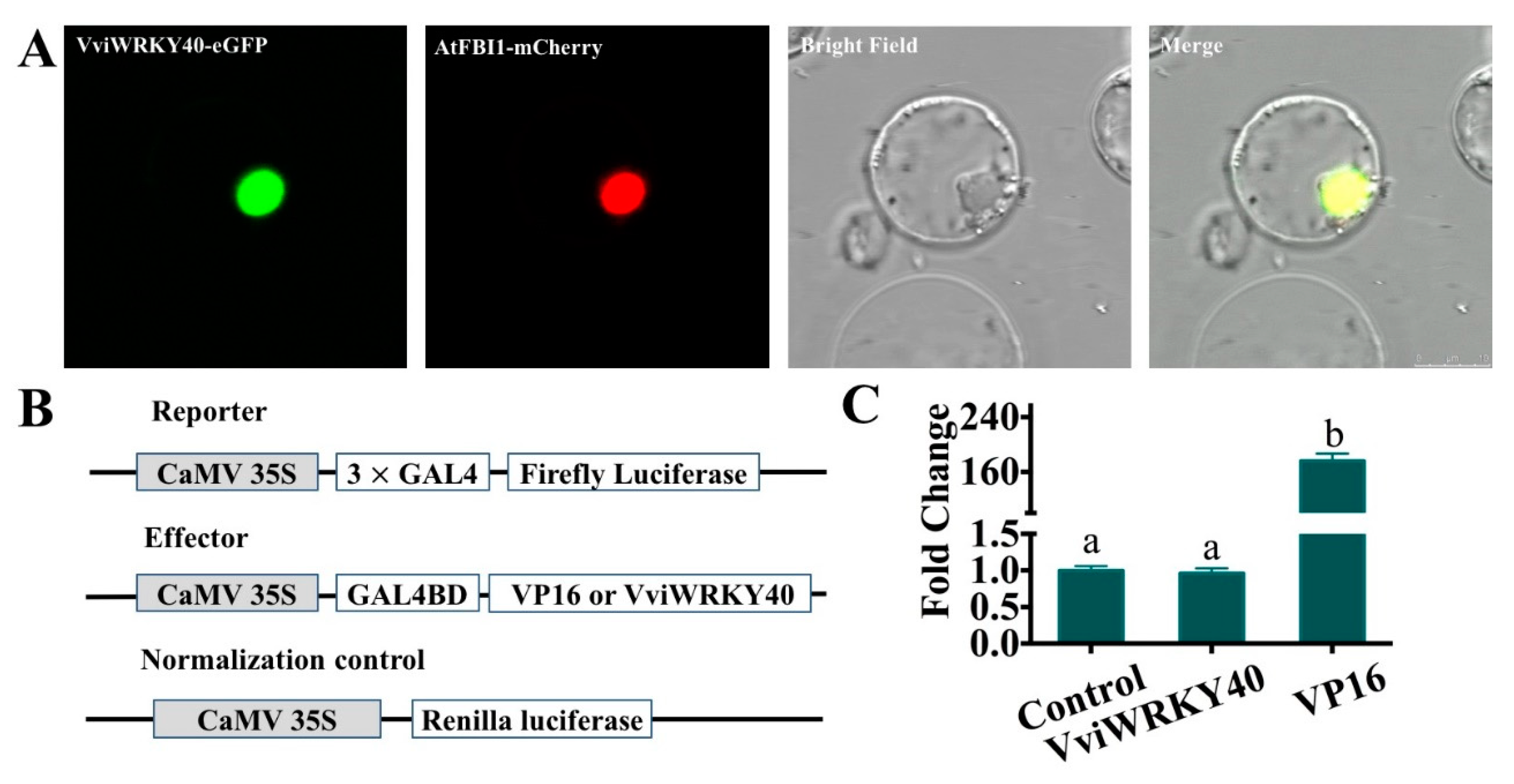 Genes 11 00485 g006 Genes 11 00485 g006