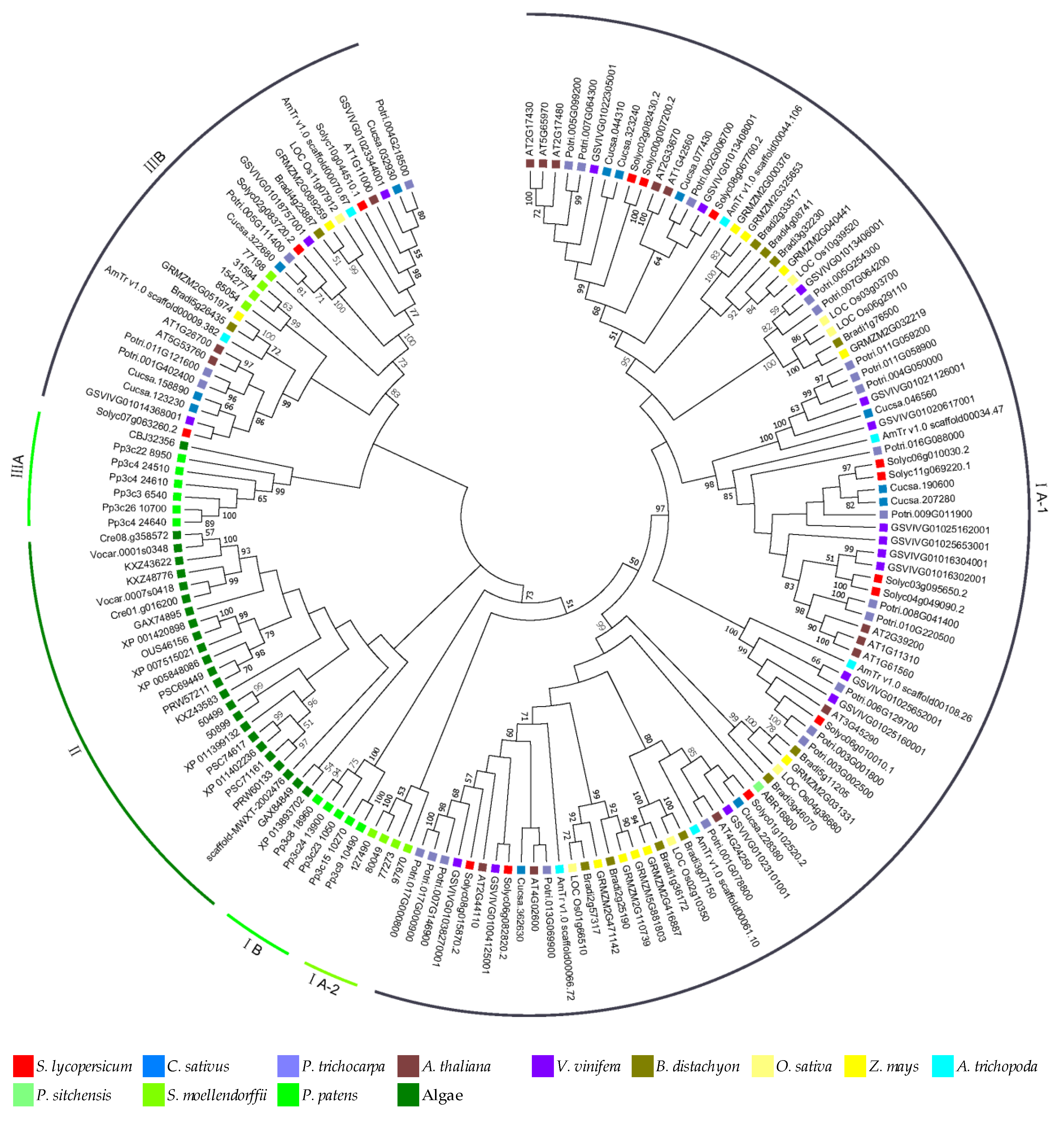 Genes 11 00487 g002