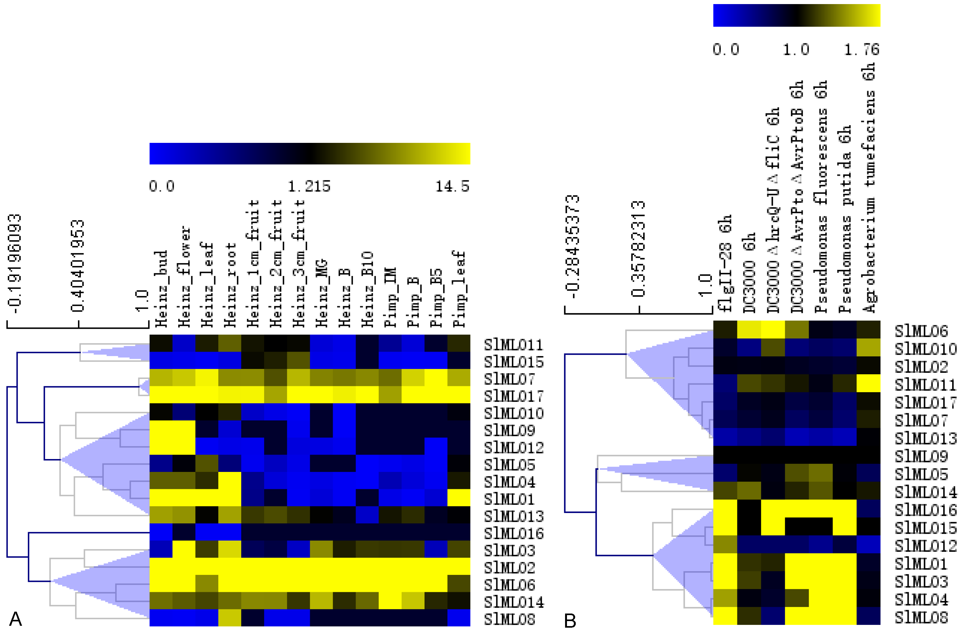 Genes 11 00487 g004