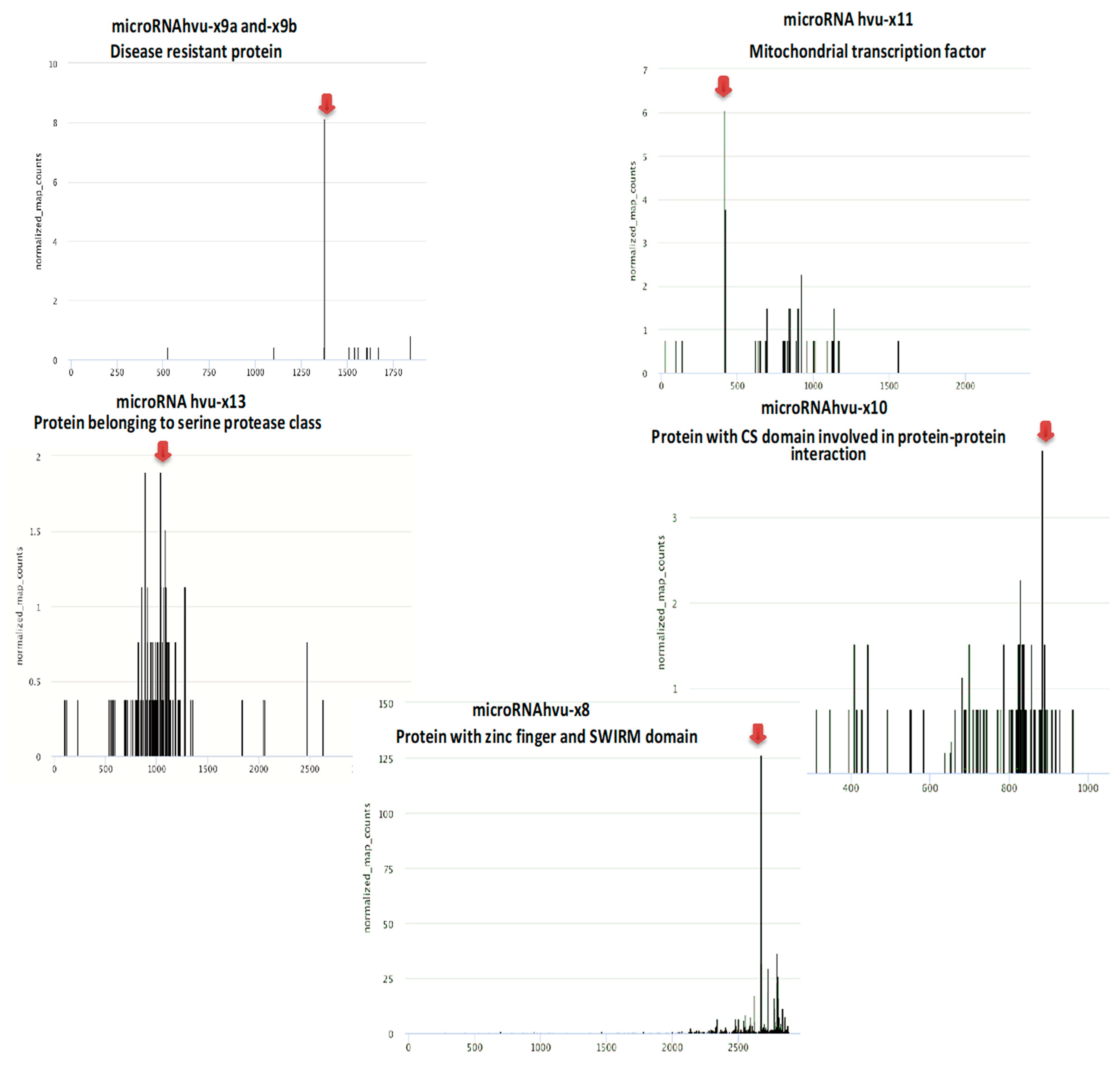 Genes 11 00488 g006 Genes 11 00488 g006