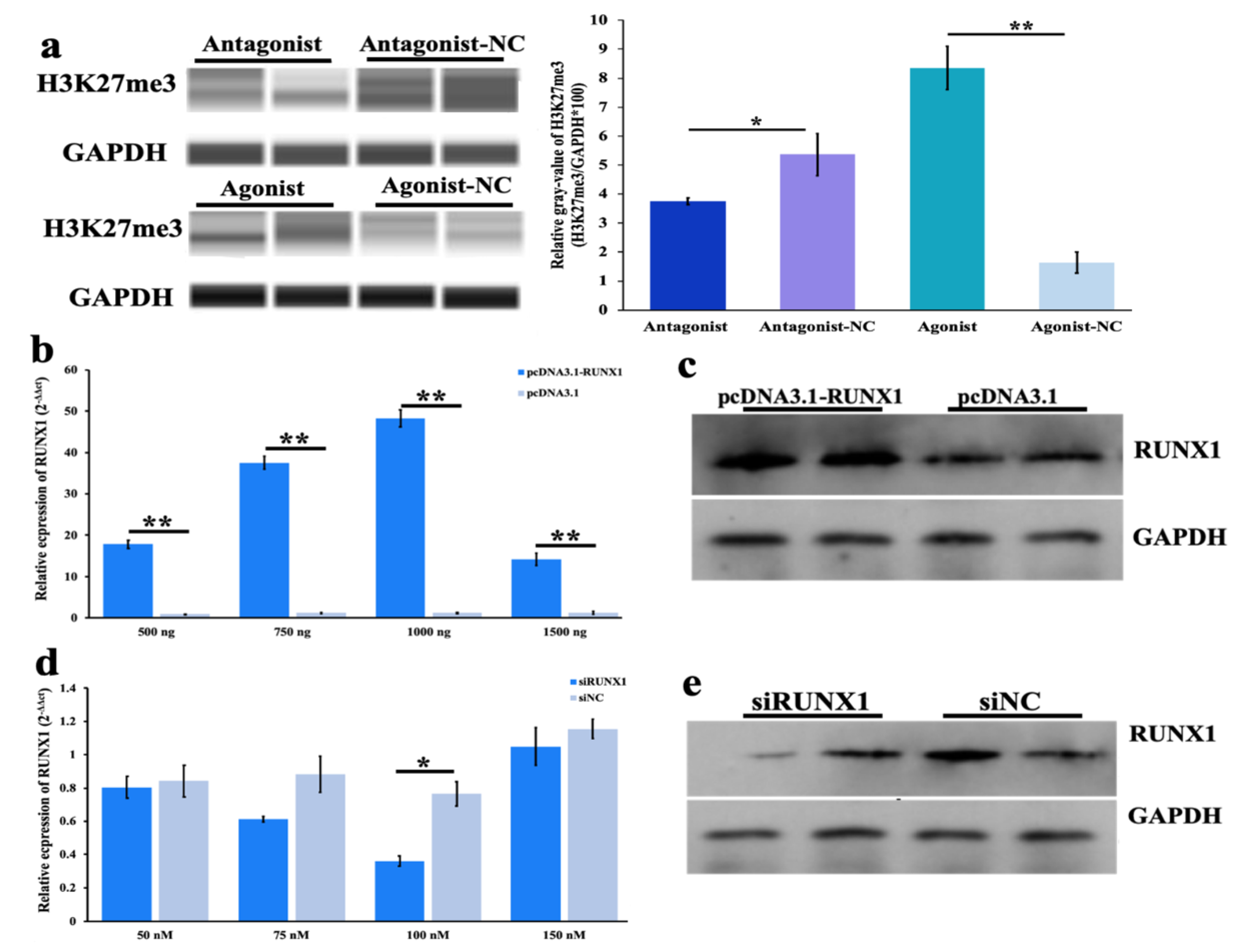 Genes 11 00495 g002 Genes 11 00495 g002