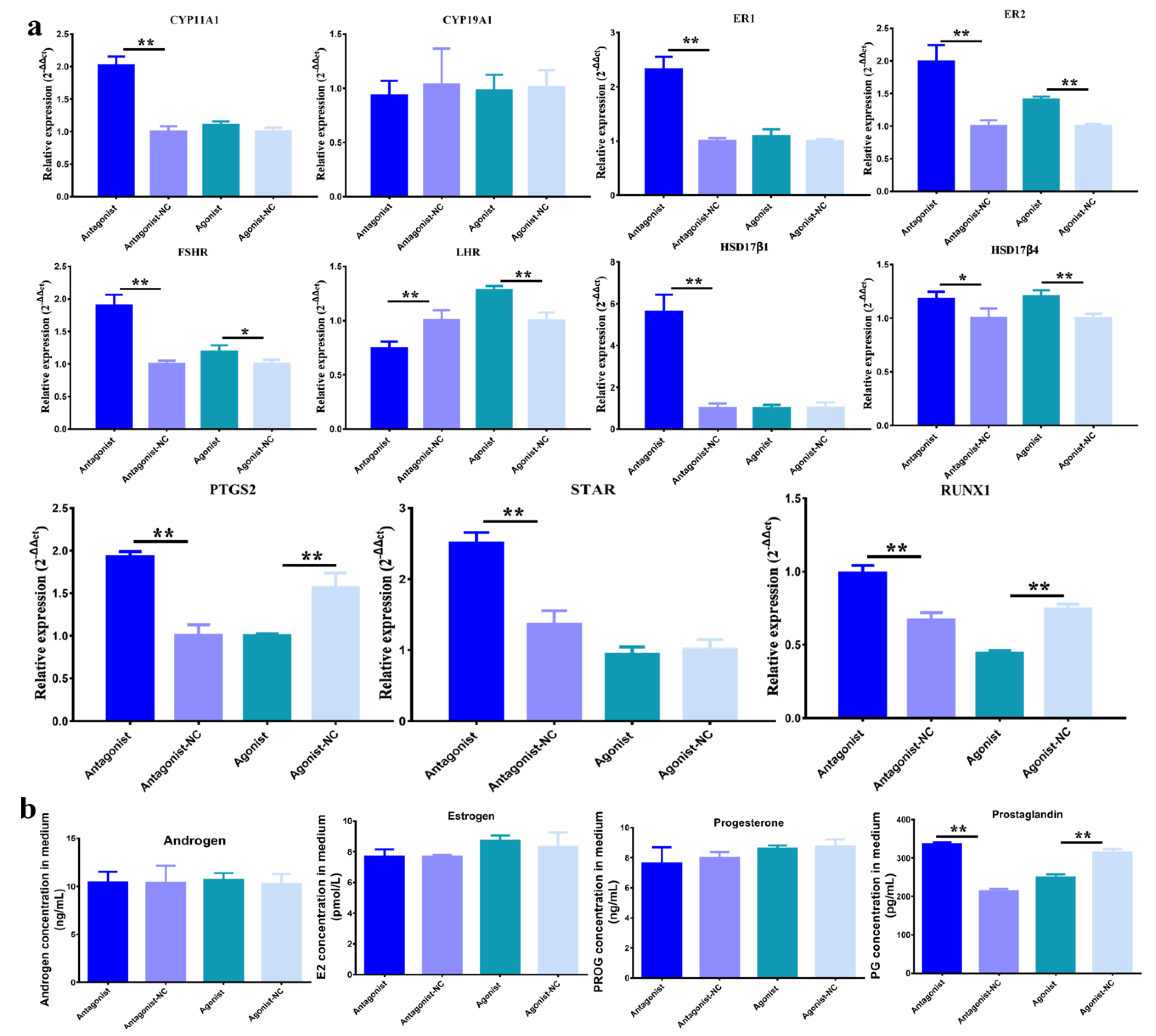 Genes 11 00495 g003 Genes 11 00495 g003