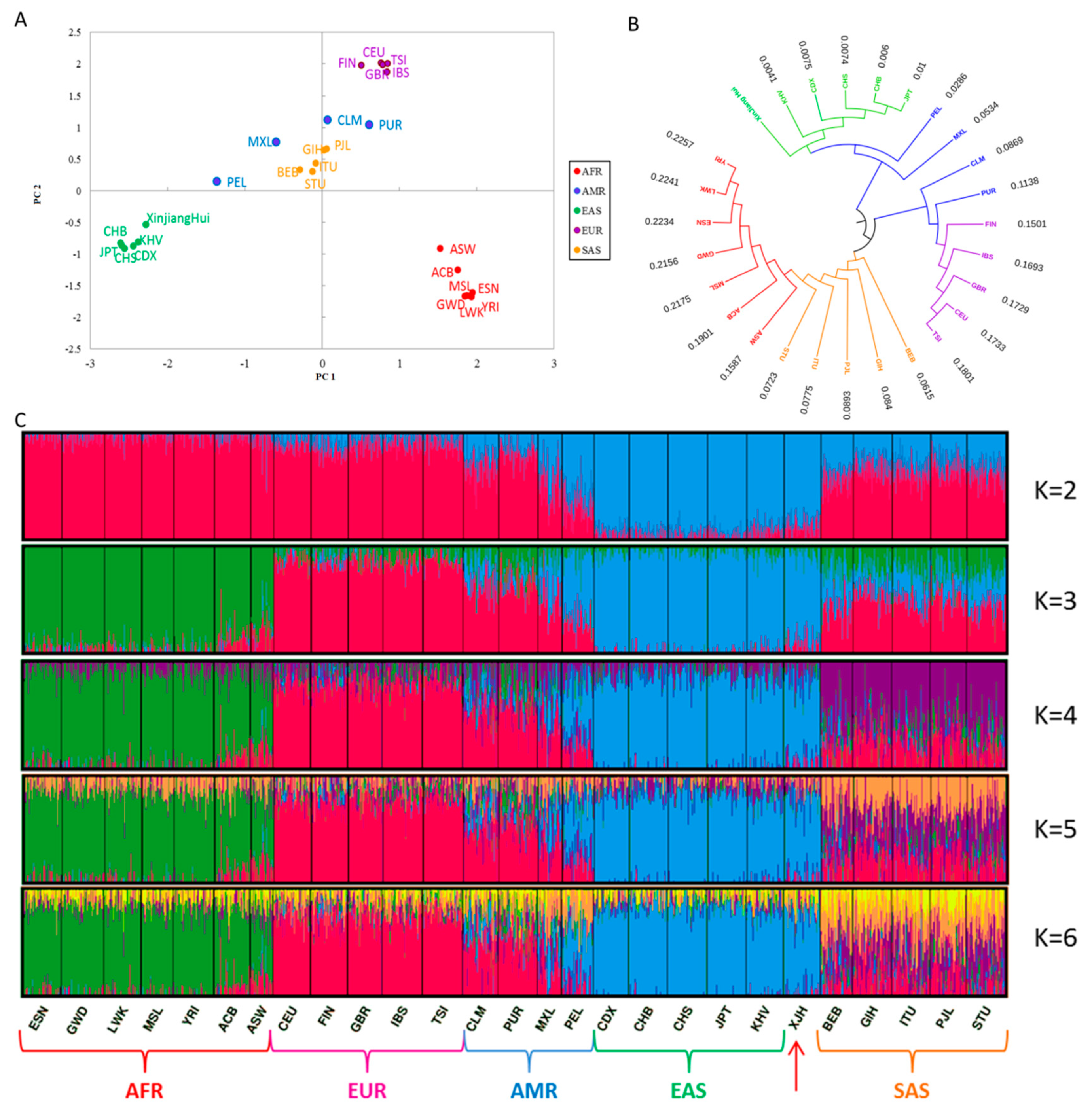 Genes 11 00505 g004 Genes 11 00505 g004