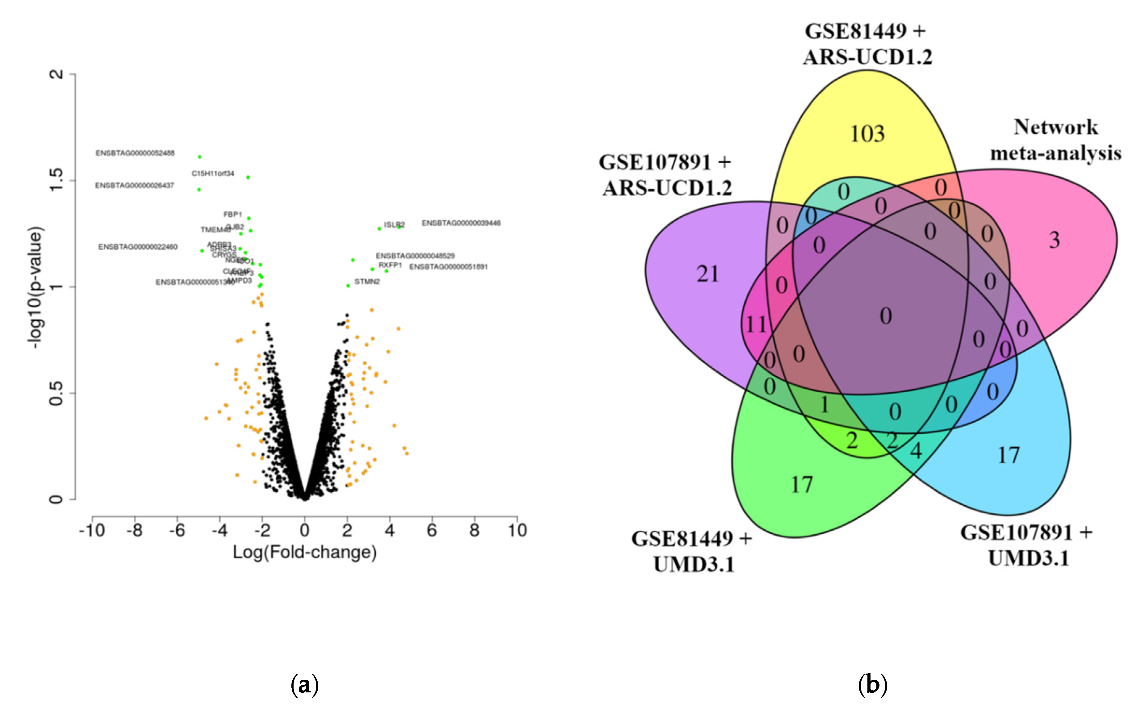 Network meta analysis